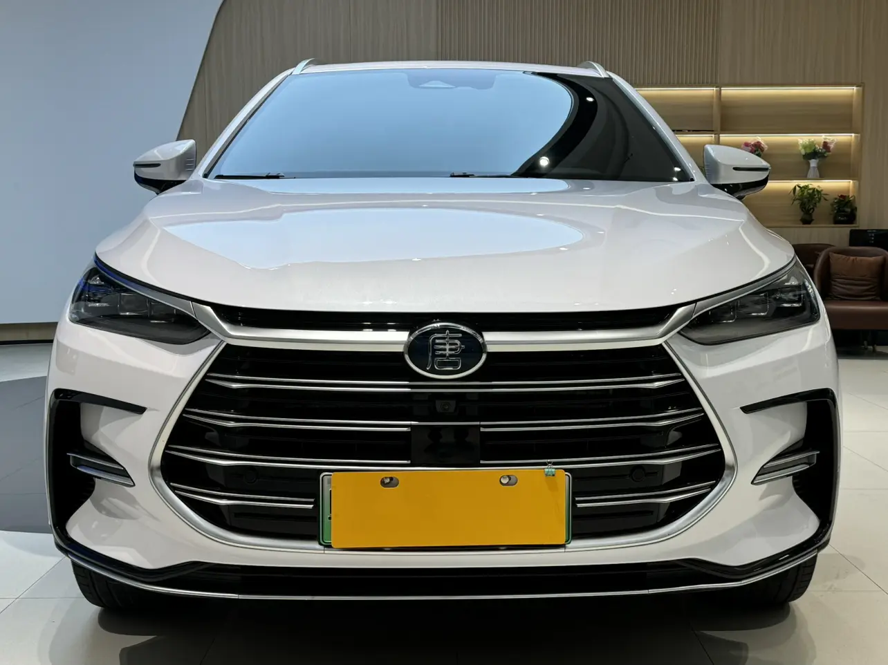 BYD Tang DM