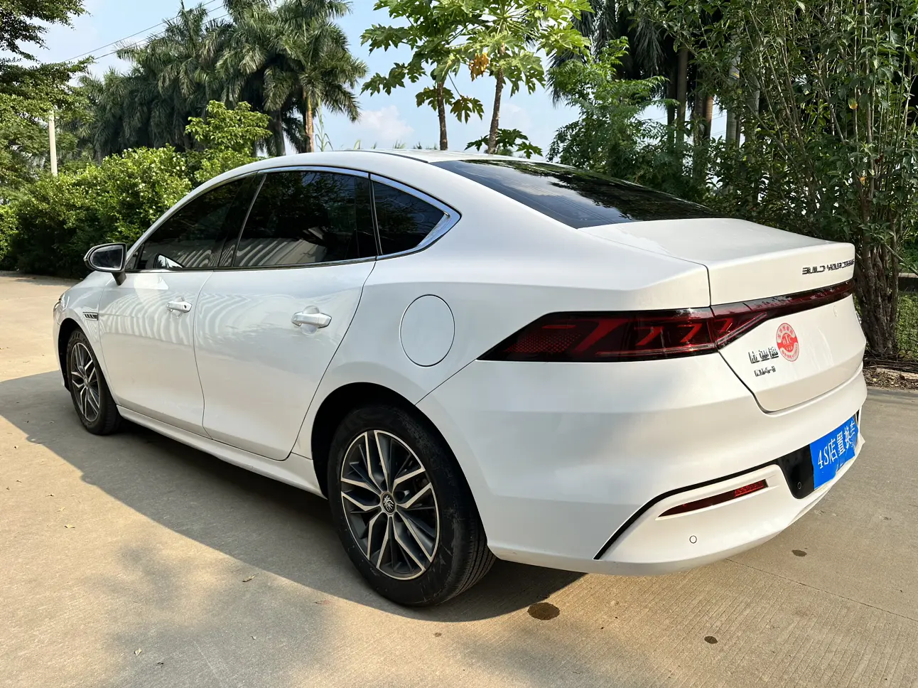 BYD Qin PLUS DM