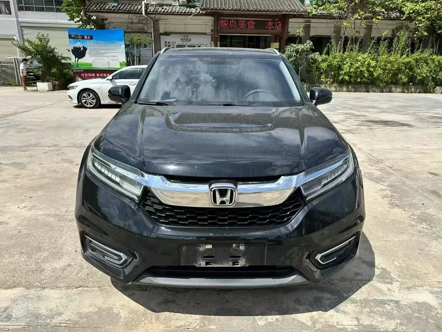 Honda Avancier