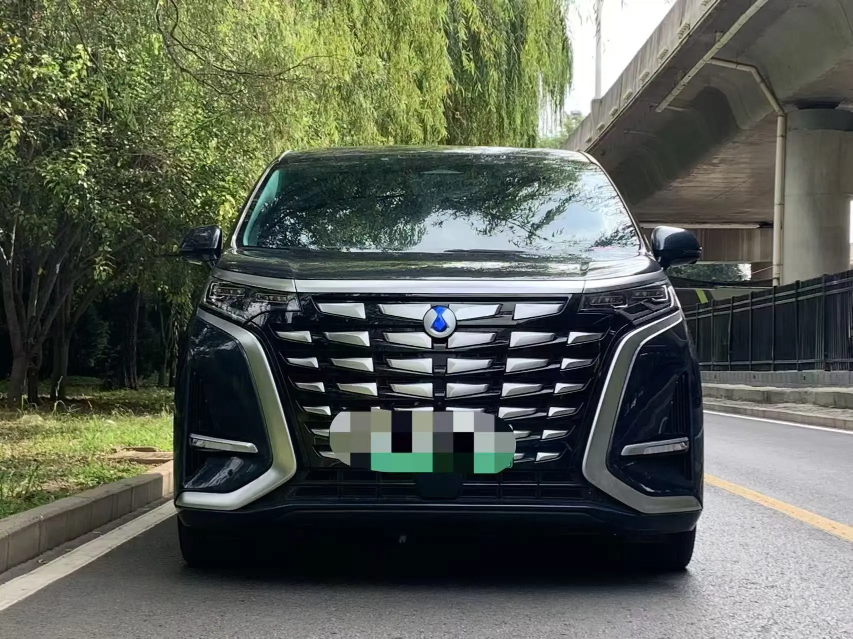 Denza D9 DM  из Китая