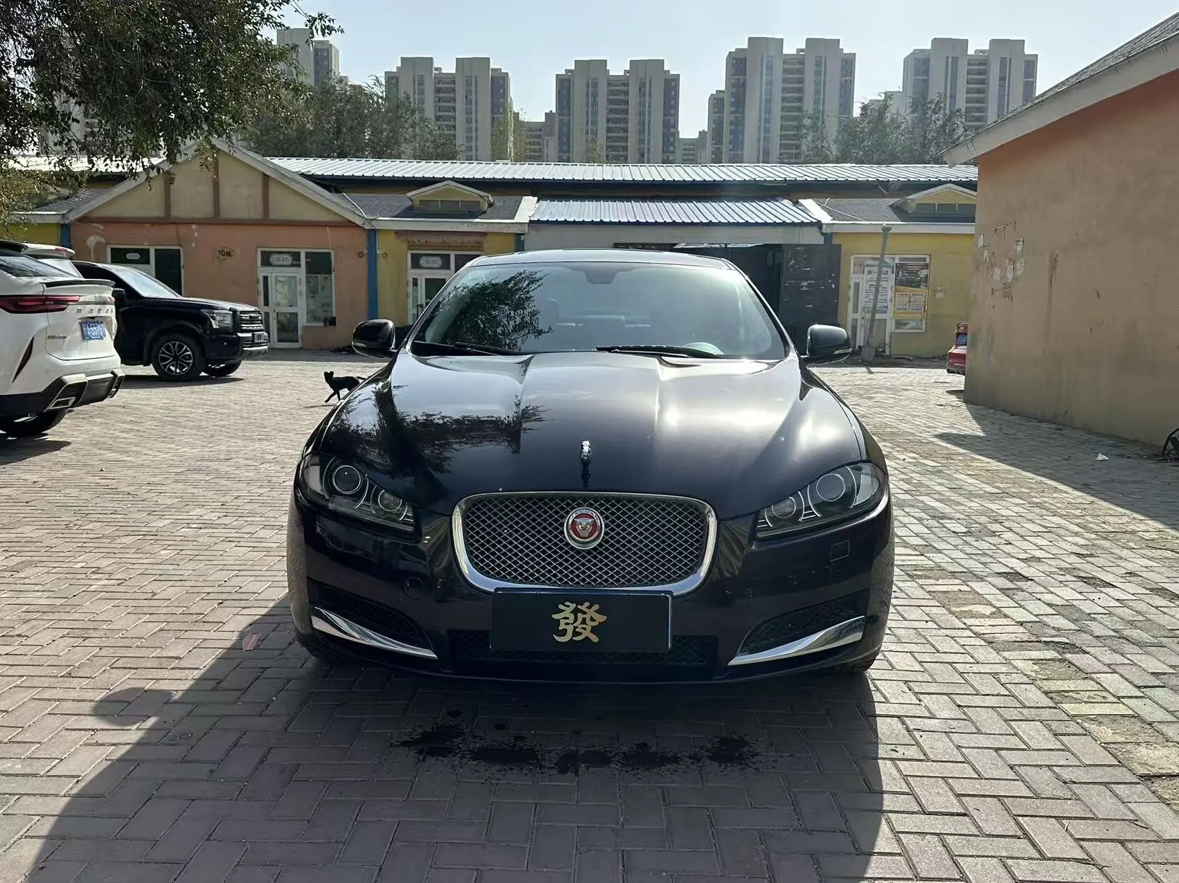 Jaguar XF