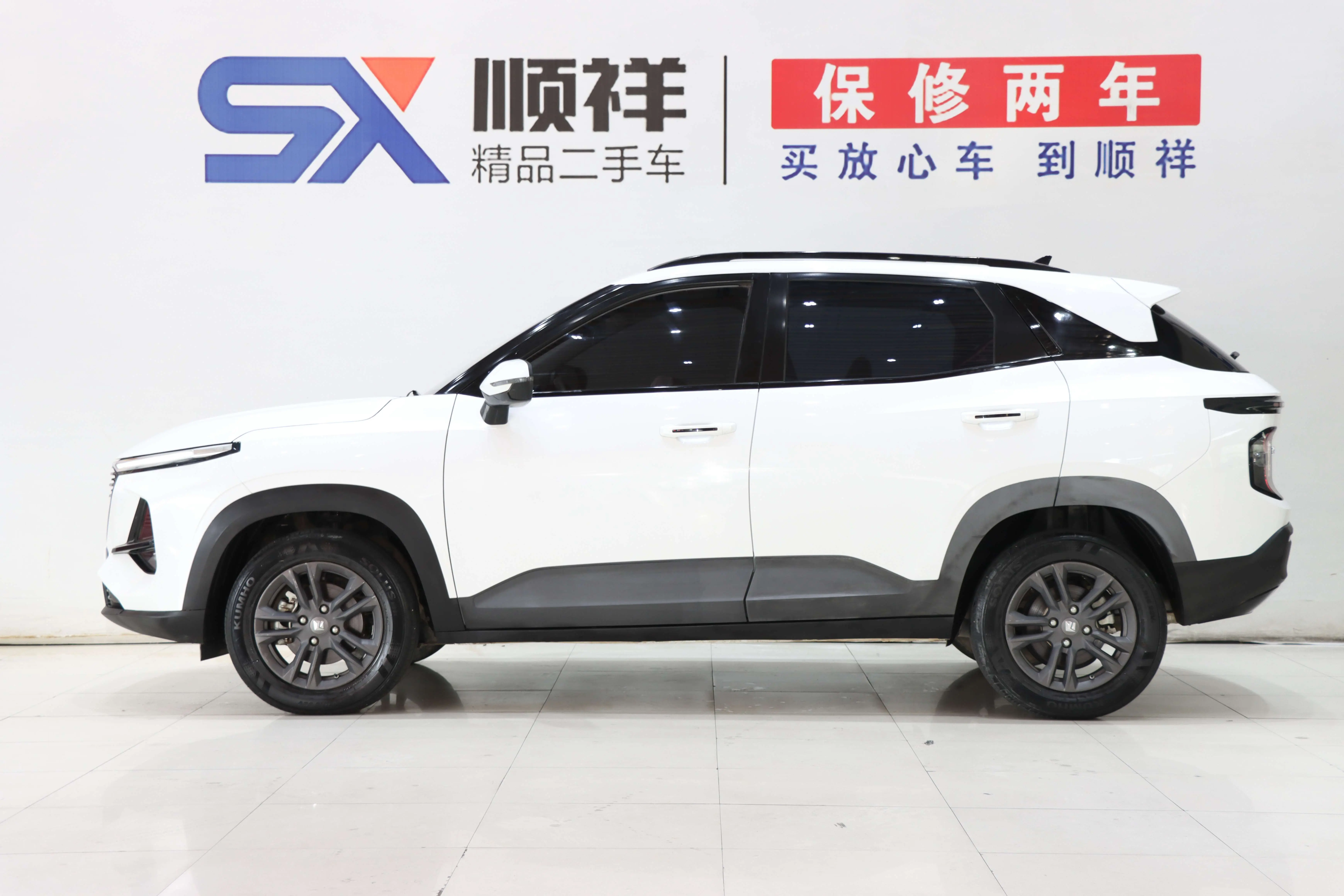 Baojun RS-3