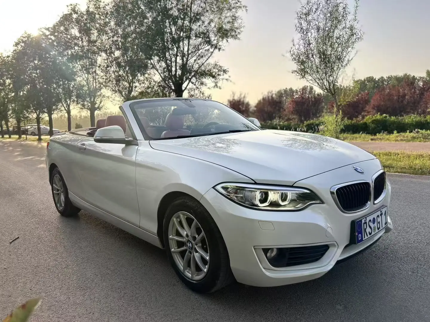 BMW 2 Series (Imported)