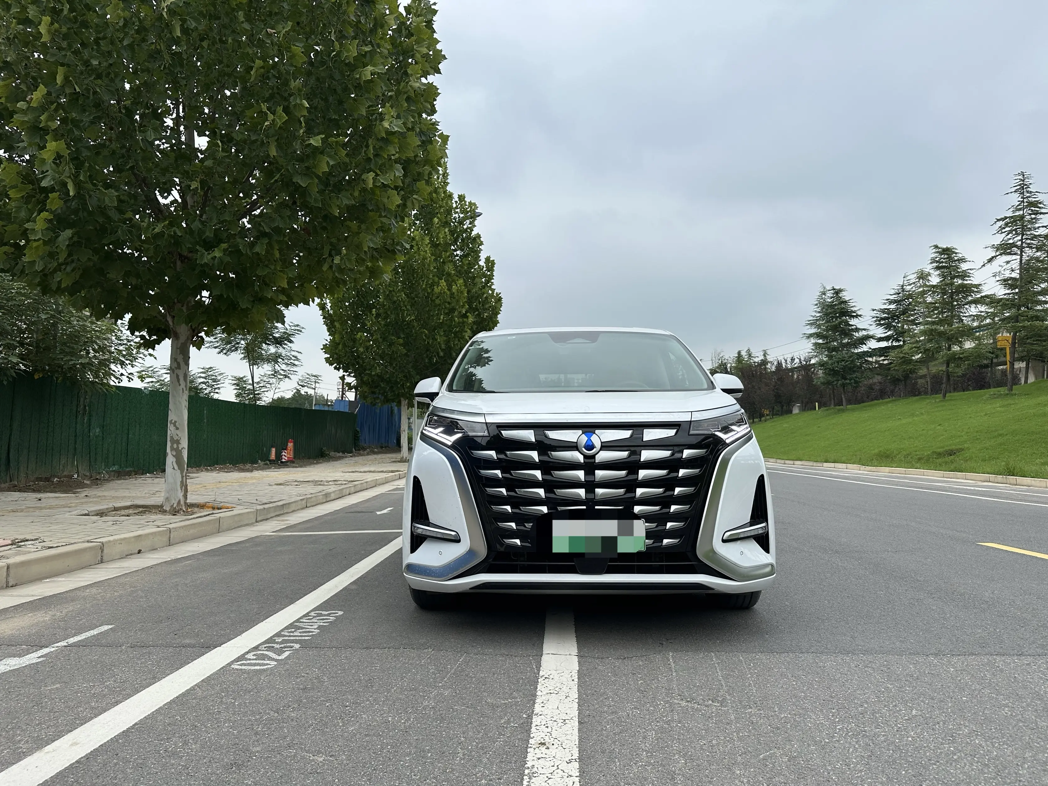 Denza D9 DM  из Китая