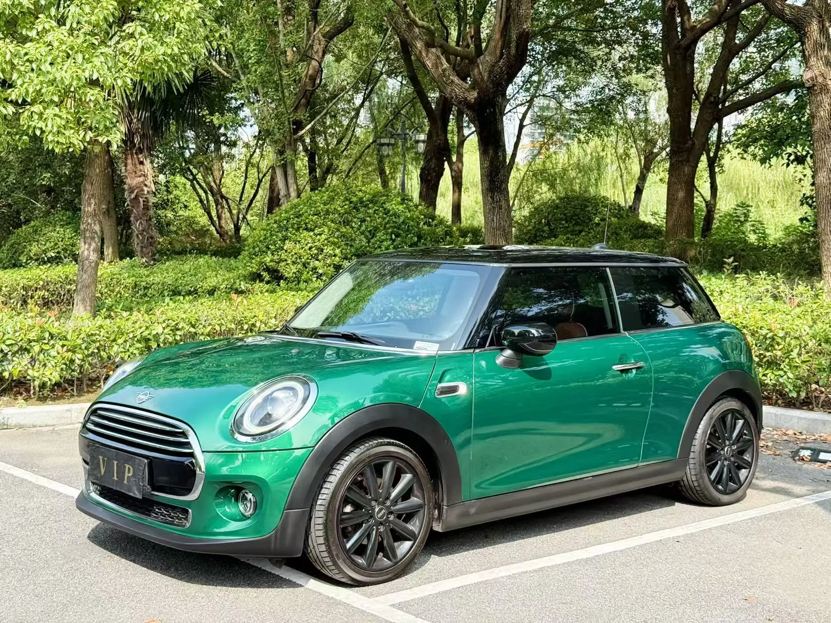 MINI MINI