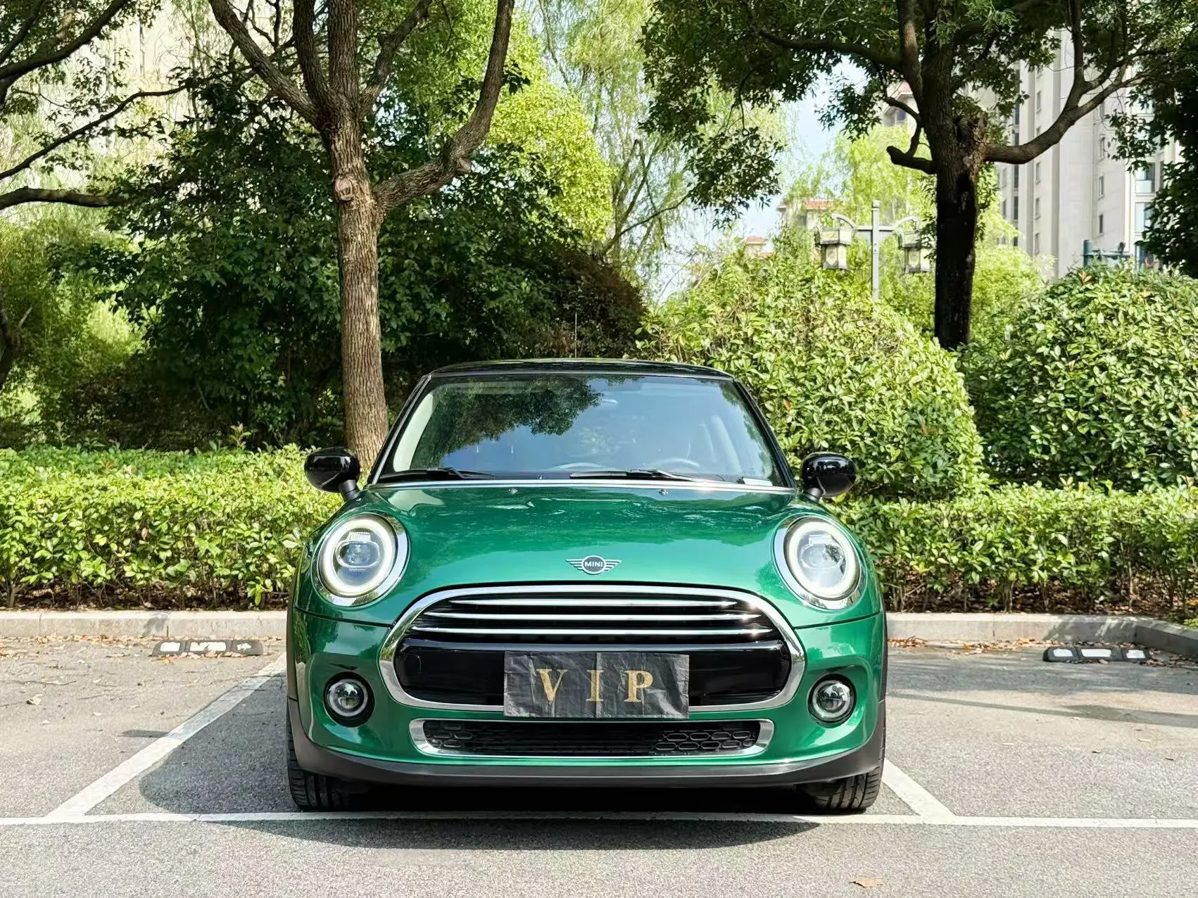 MINI MINI