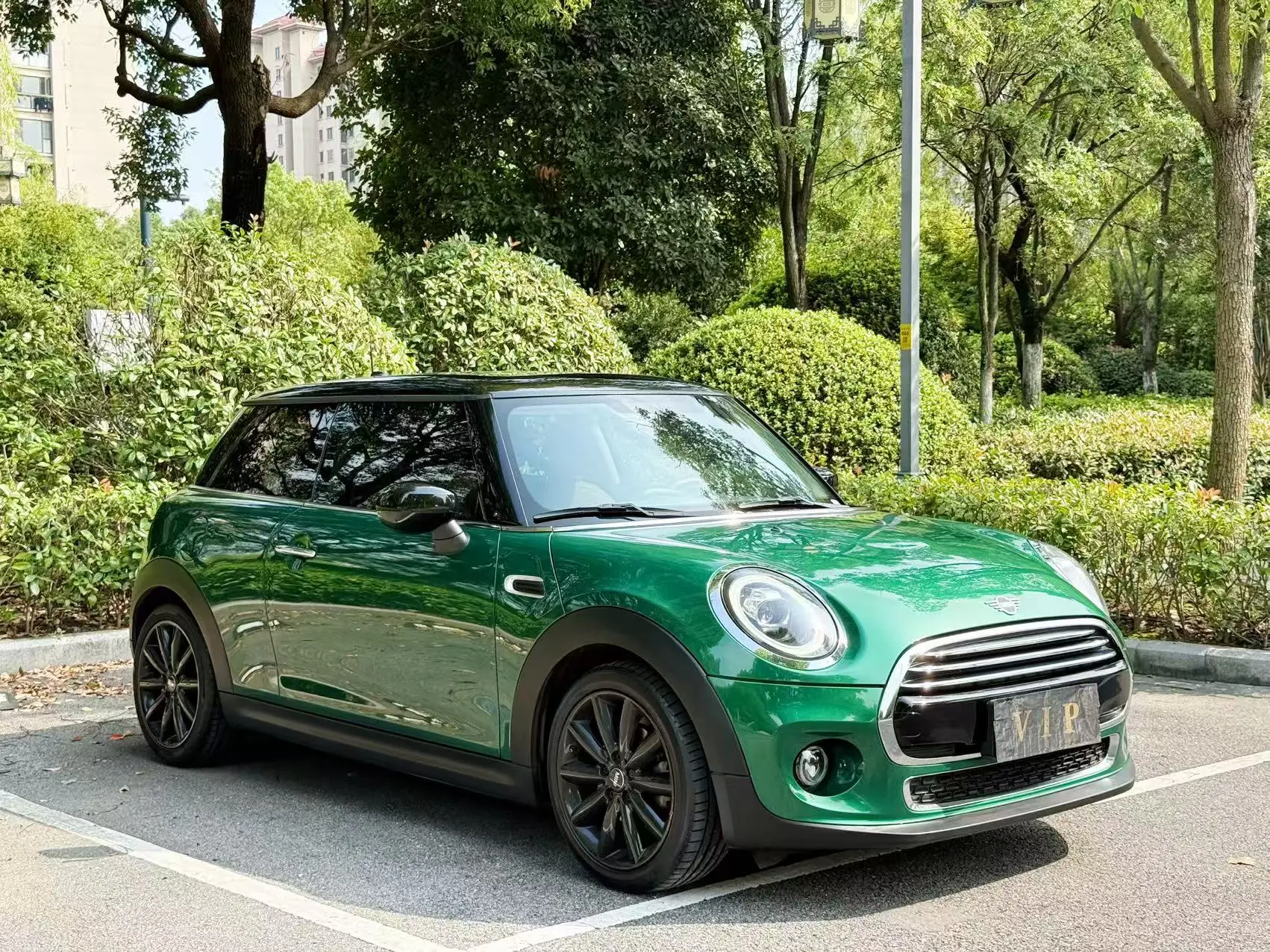 MINI MINI