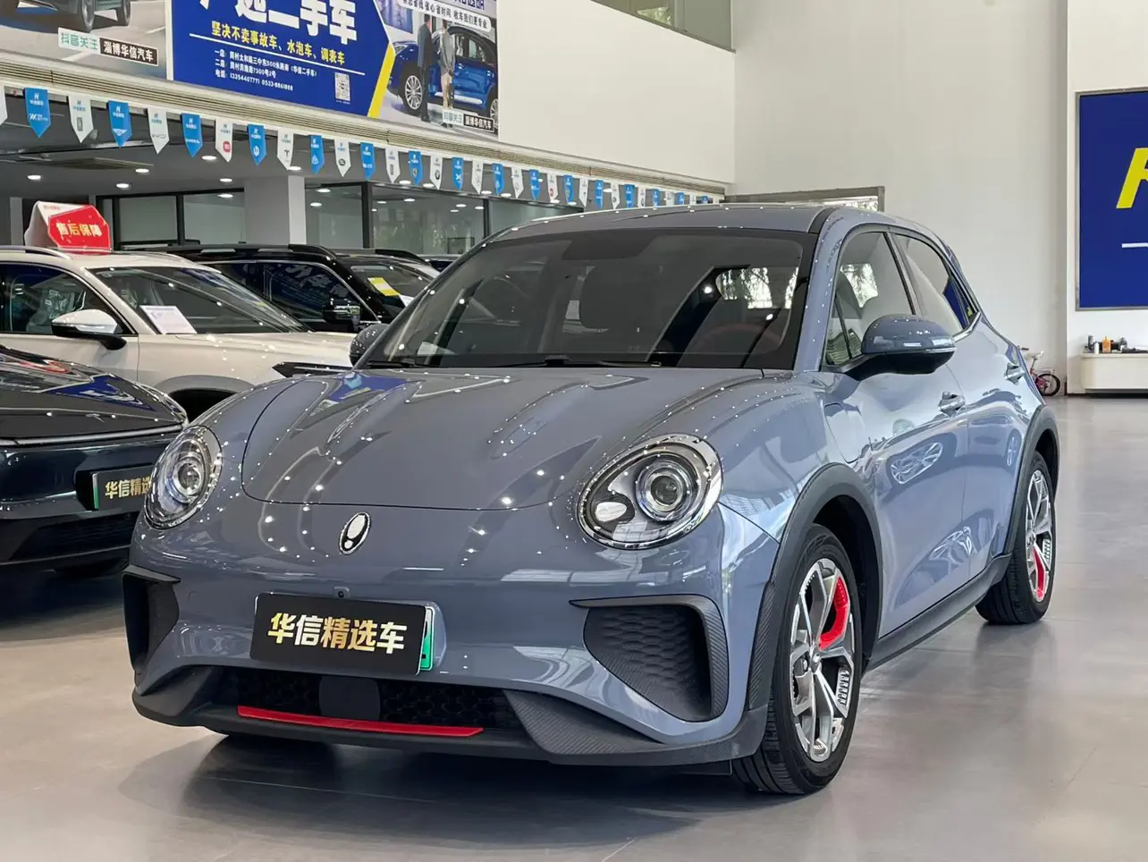 ORA Euler Good Cat GT