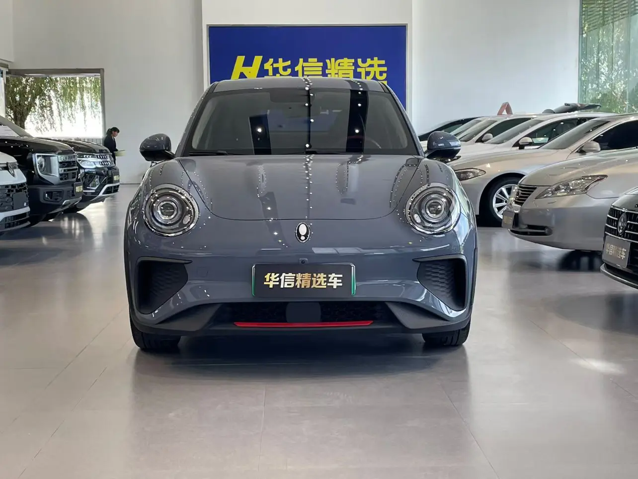 ORA Euler Good Cat GT