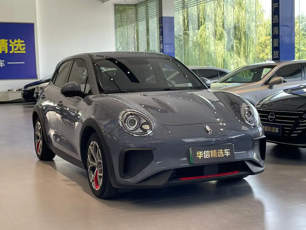 ORA Euler Good Cat GT