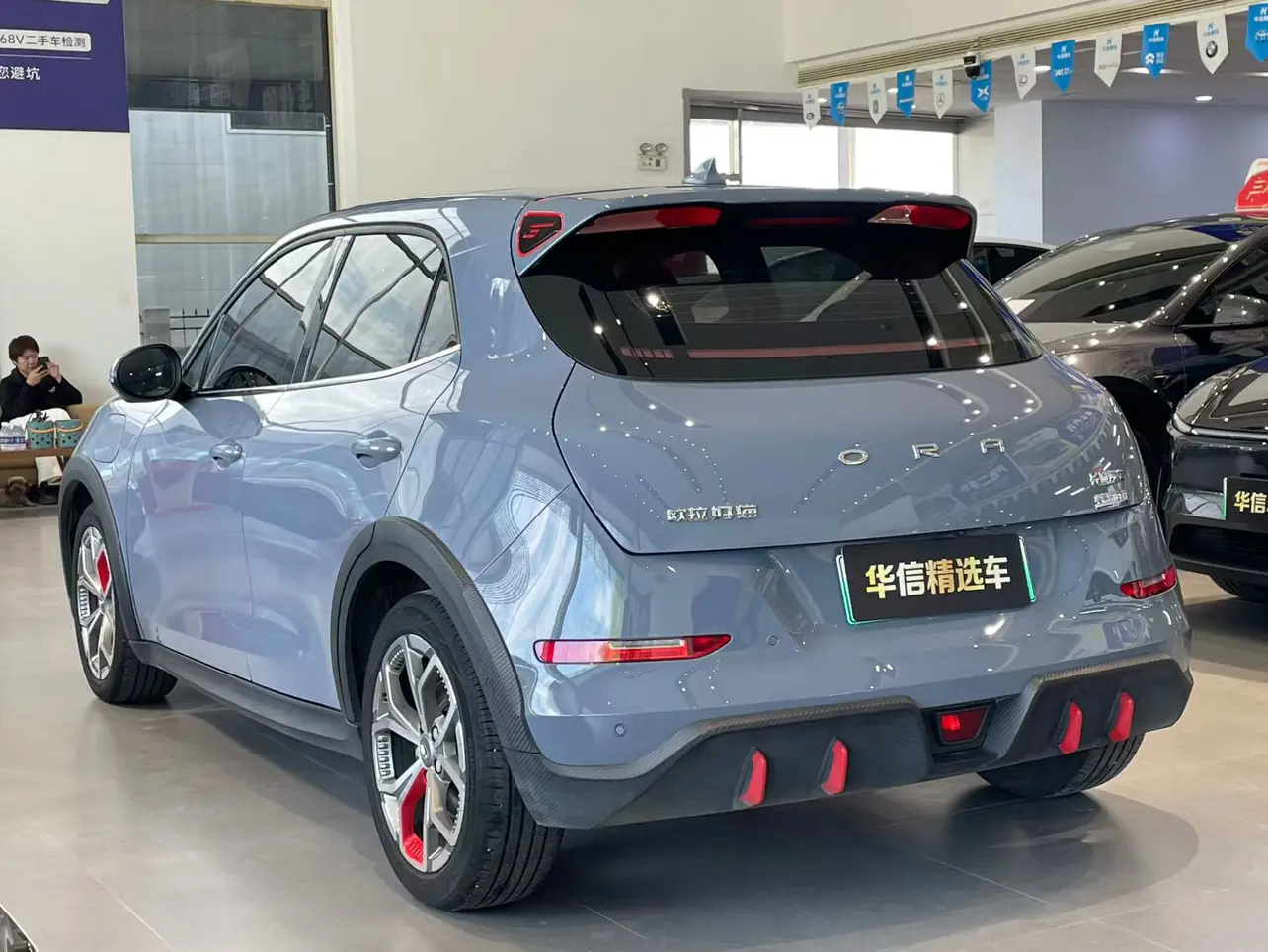 ORA Euler Good Cat GT