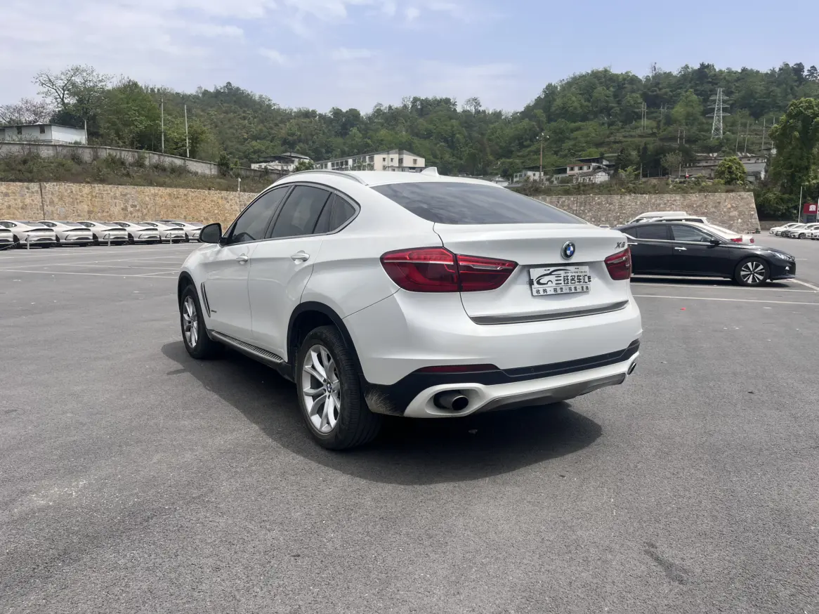 BMW X6