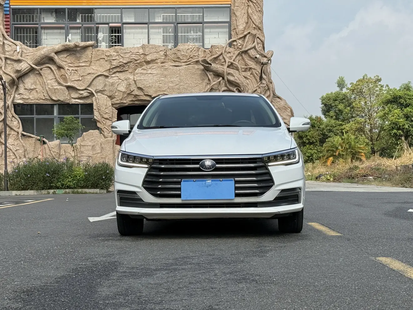 BYD Qin  из Китая