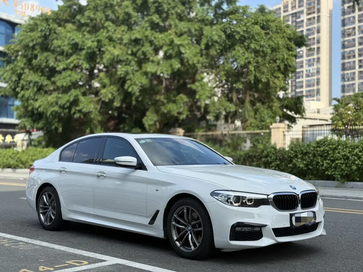 BMW 5 Series (imported)
