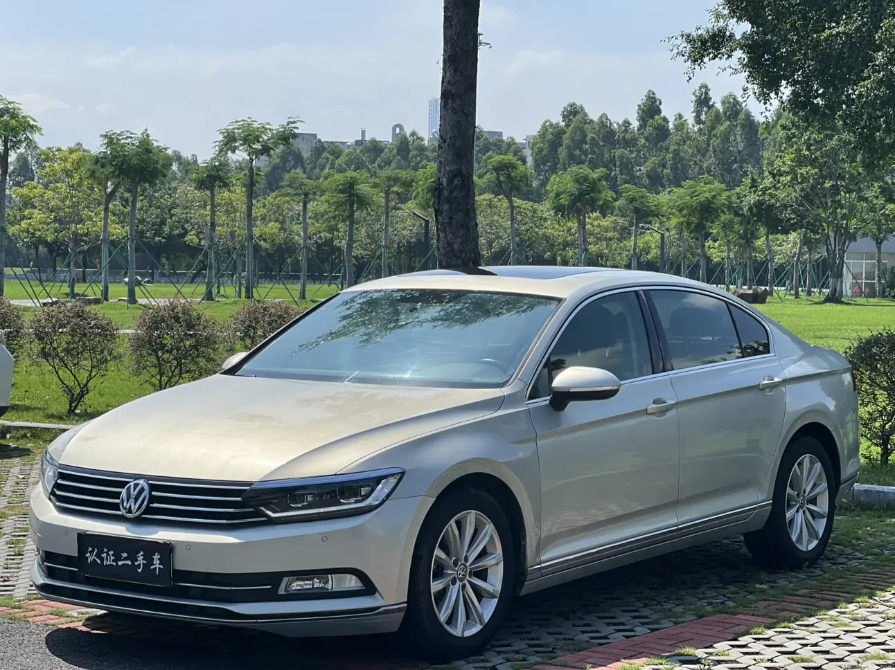 Volkswagen Magotan  из Китая