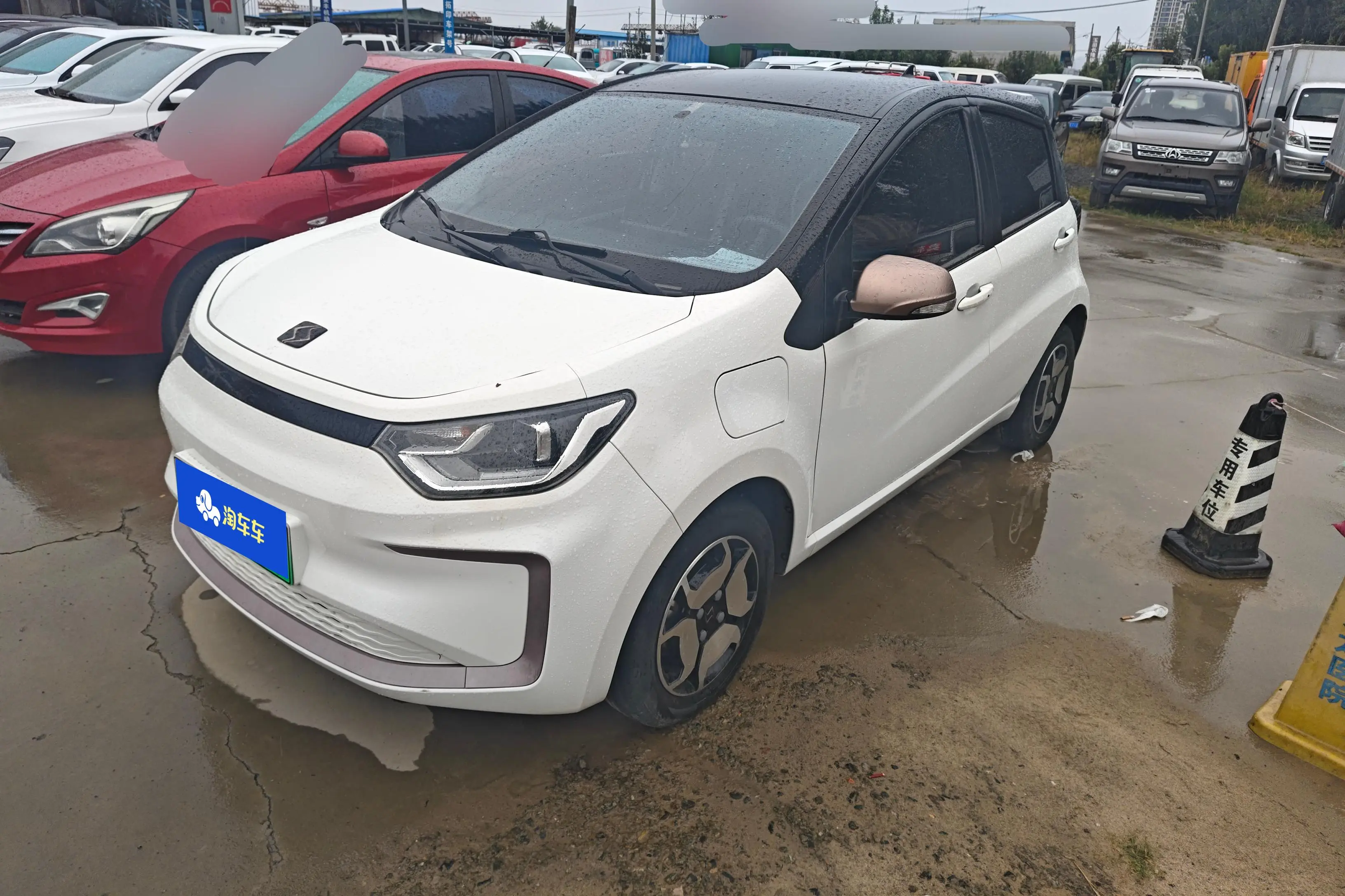 JAC (Sihao) Sihao Flower Fairy