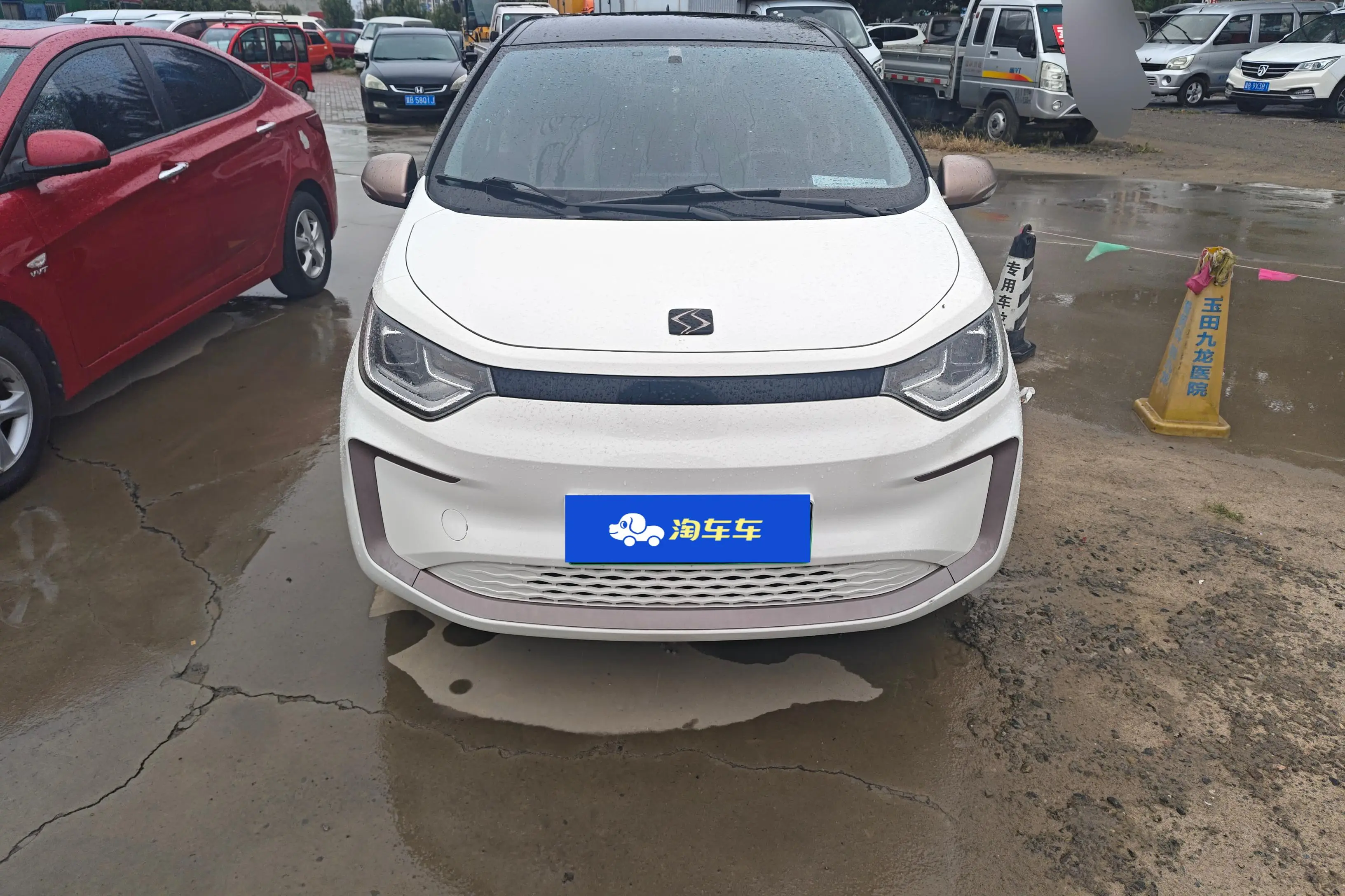 JAC (Sihao) Sihao Flower Fairy