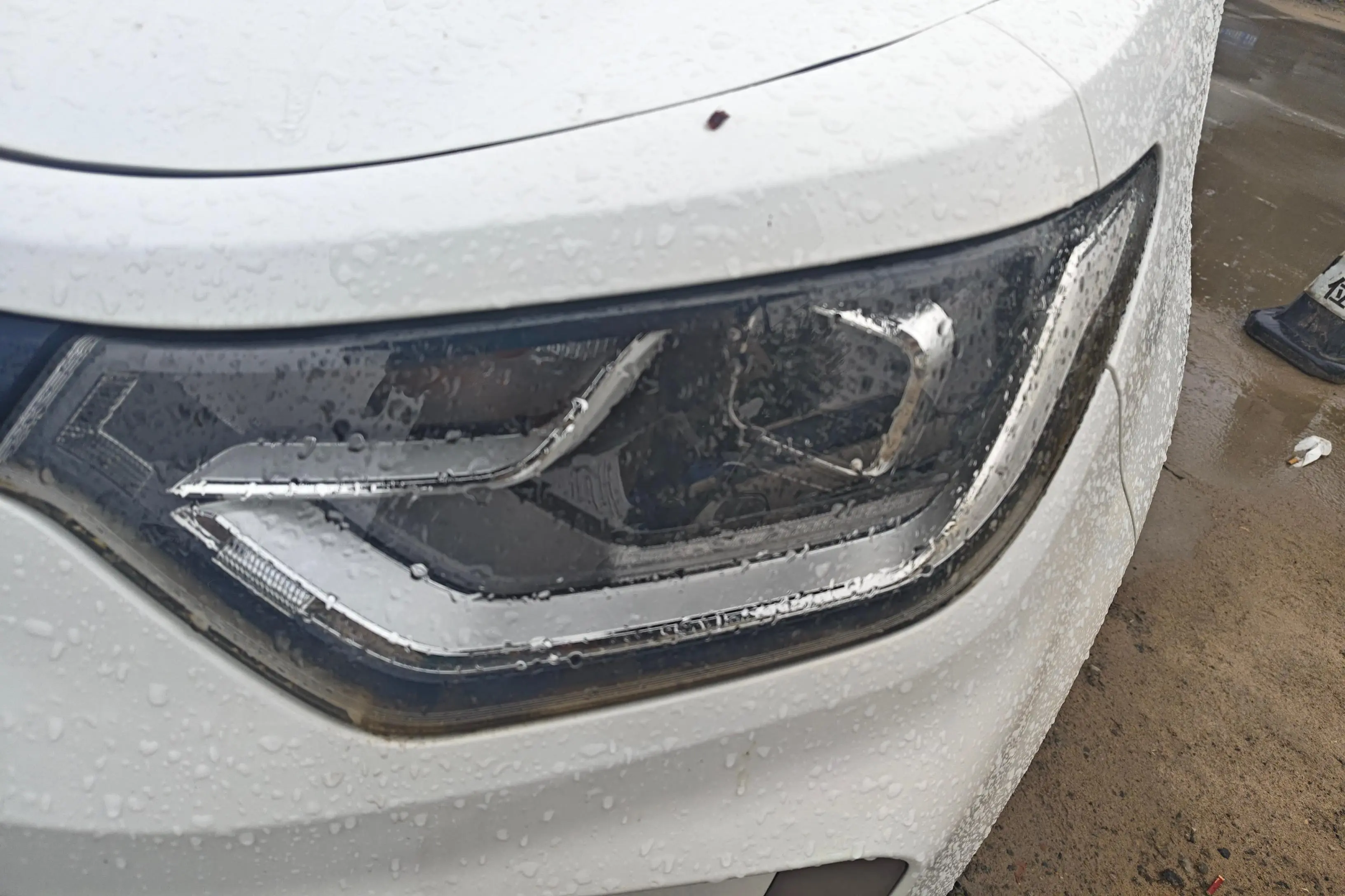 JAC (Sihao) Sihao Flower Fairy