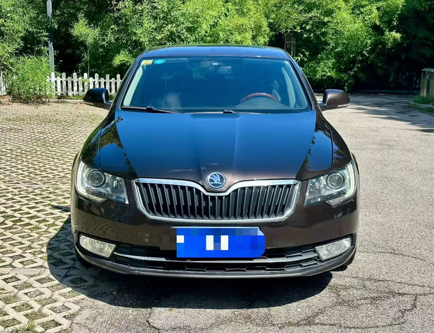 Skoda Speedy
