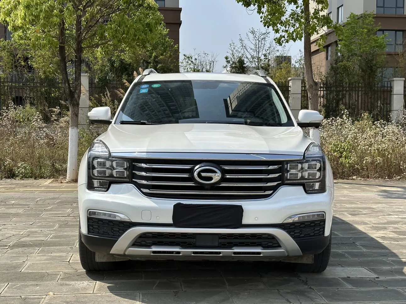 GAC Trumpchi GS8
