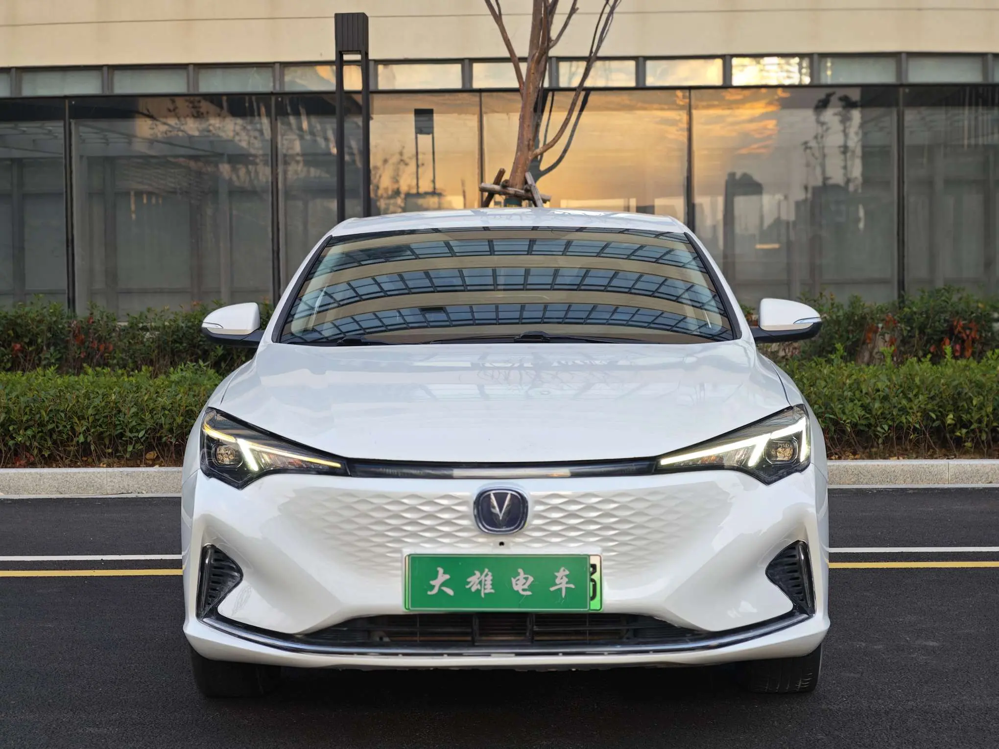 Changan Eado EV