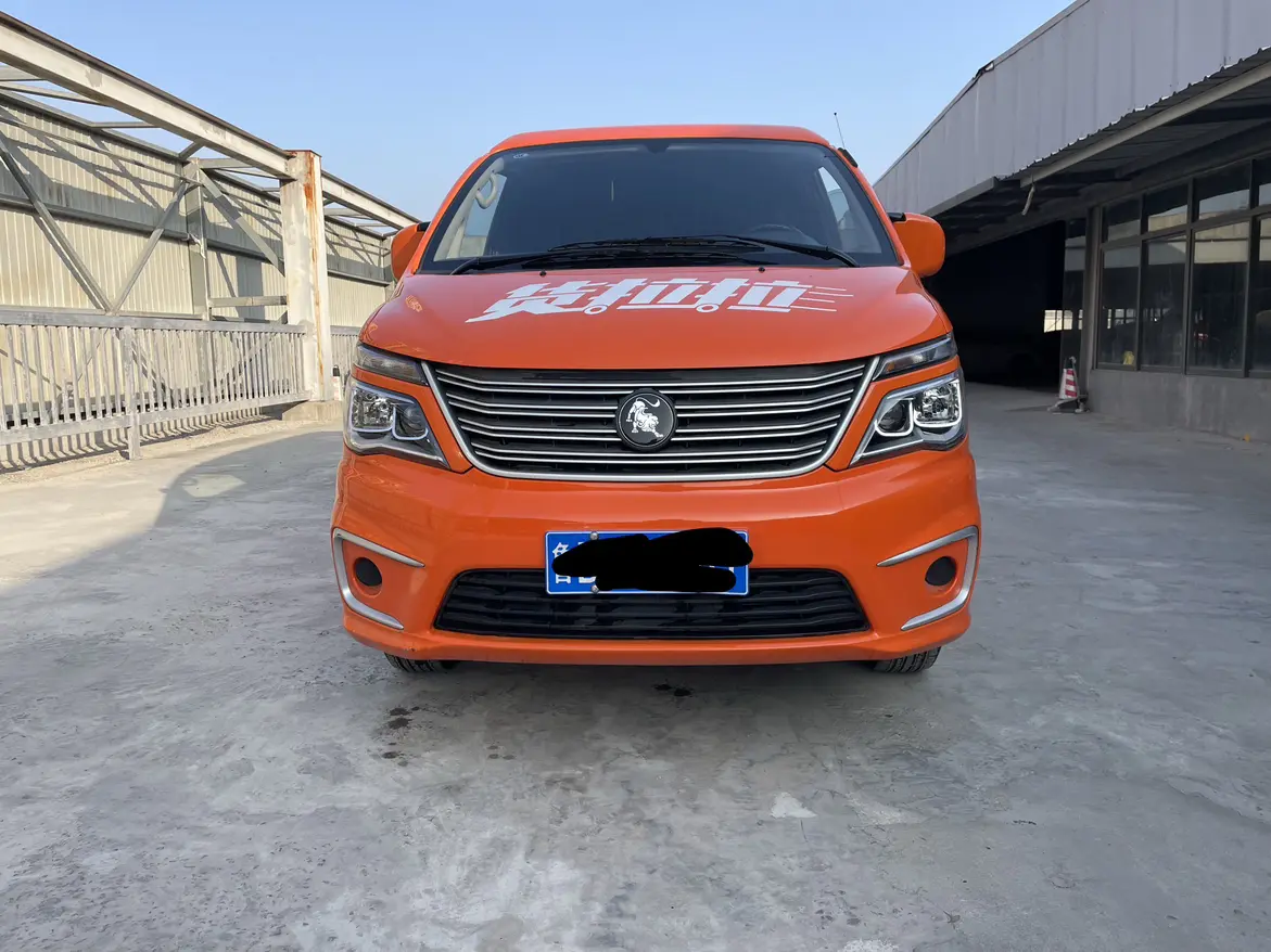 Forthing Lingzhi  из Китая