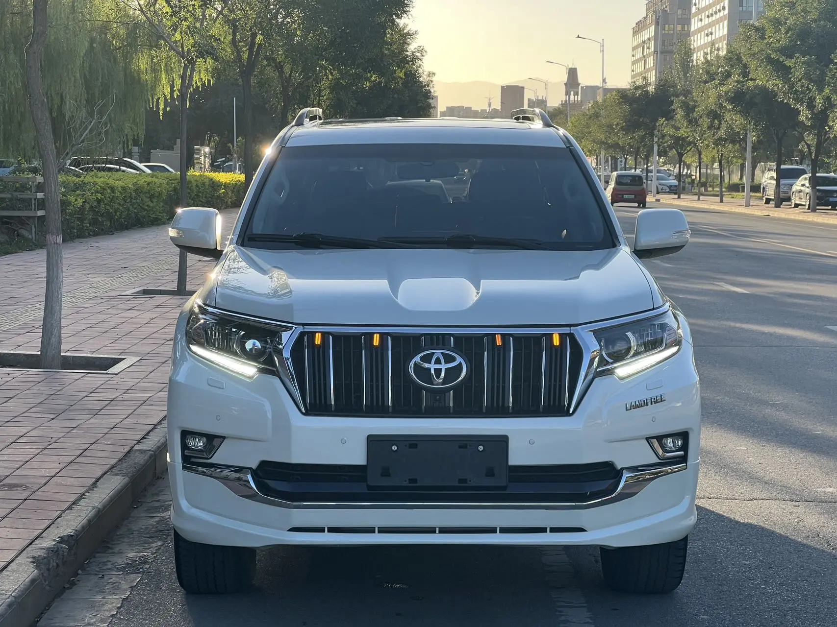 Toyota Prado