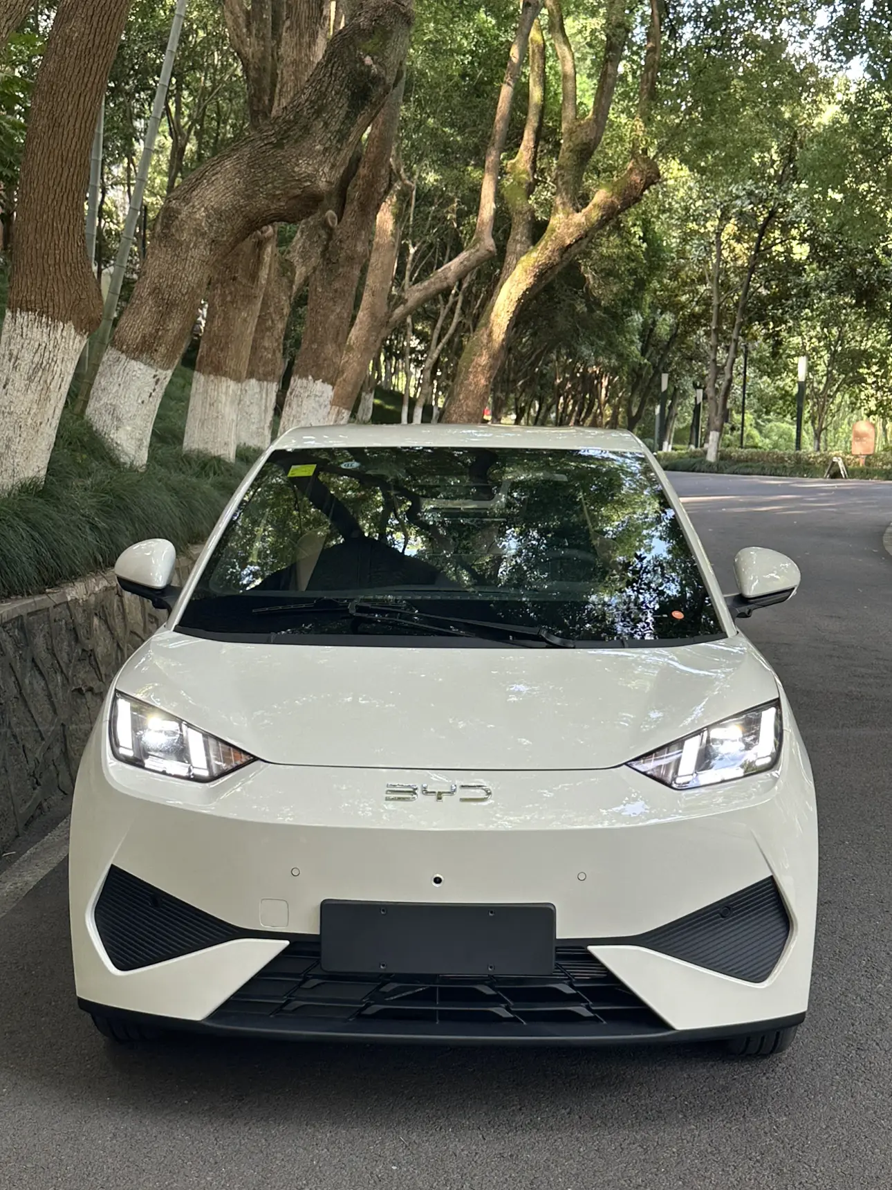 BYD Seagull  из Китая