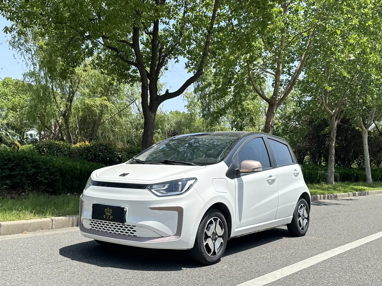 JAC (Sihao) Sihao Flower Fairy