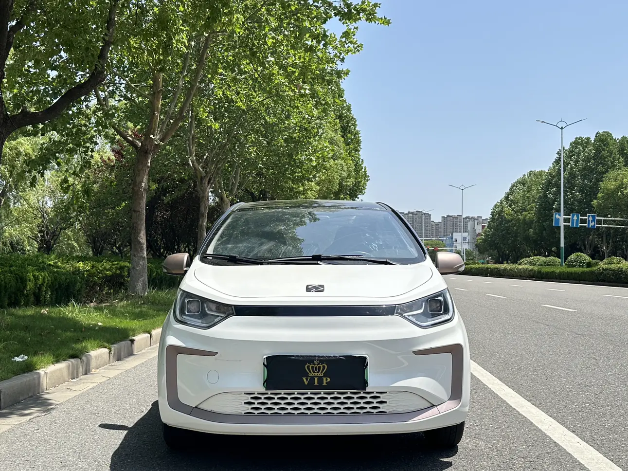 JAC (Sihao) Sihao Flower Fairy