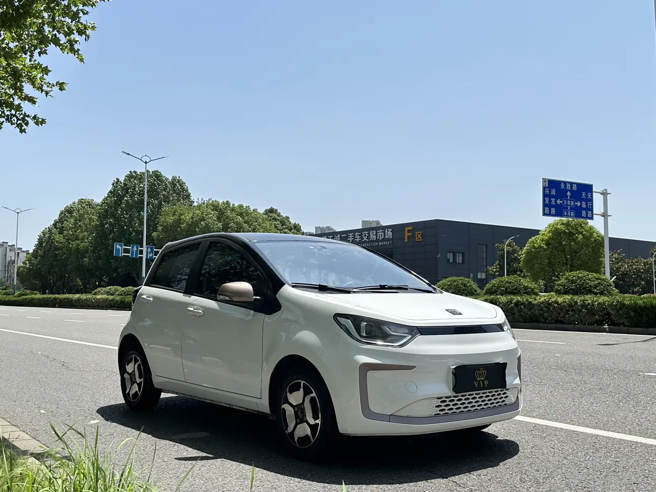 JAC (Sihao) Sihao Flower Fairy