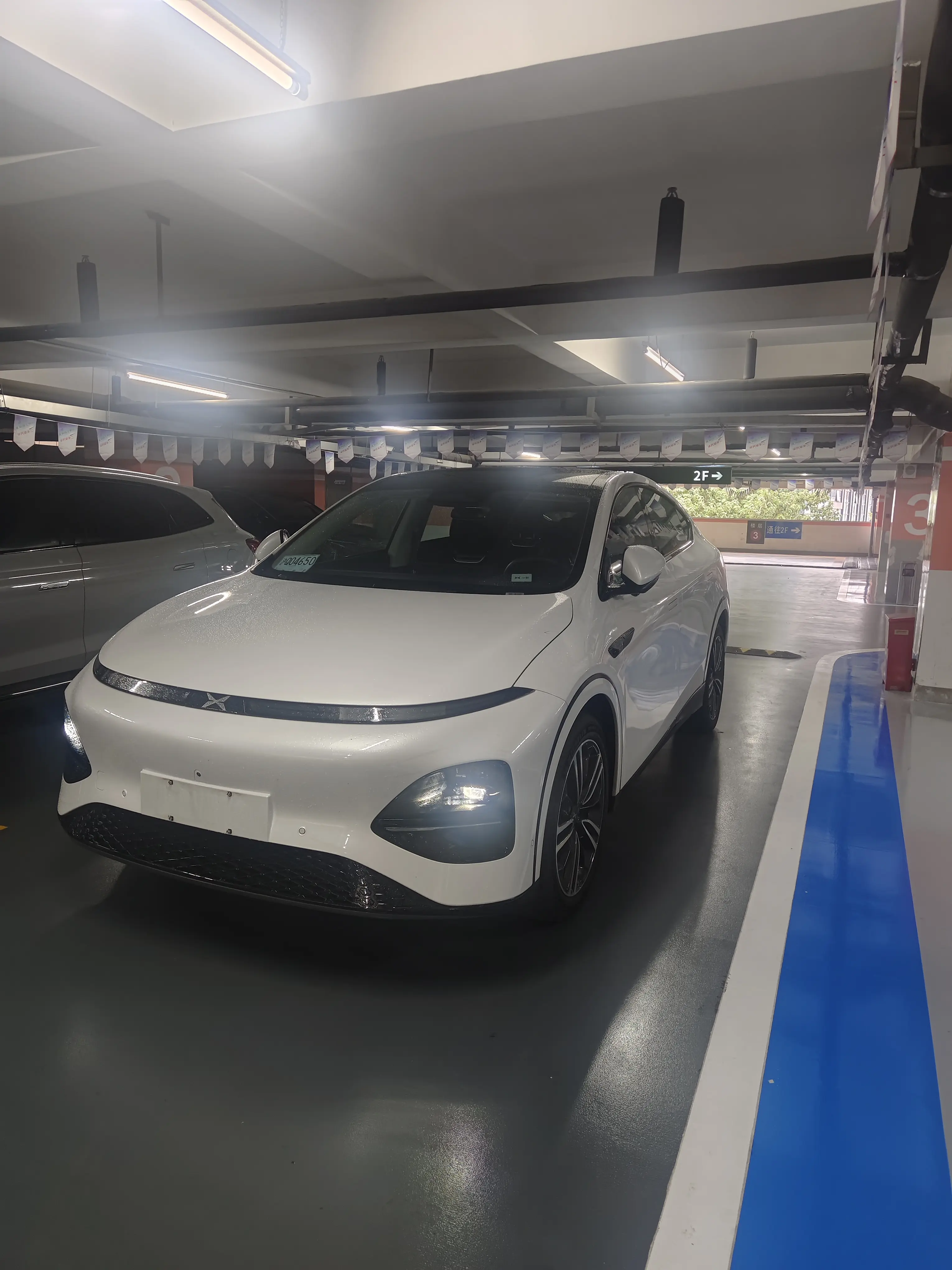 Xpeng G6  из Китая