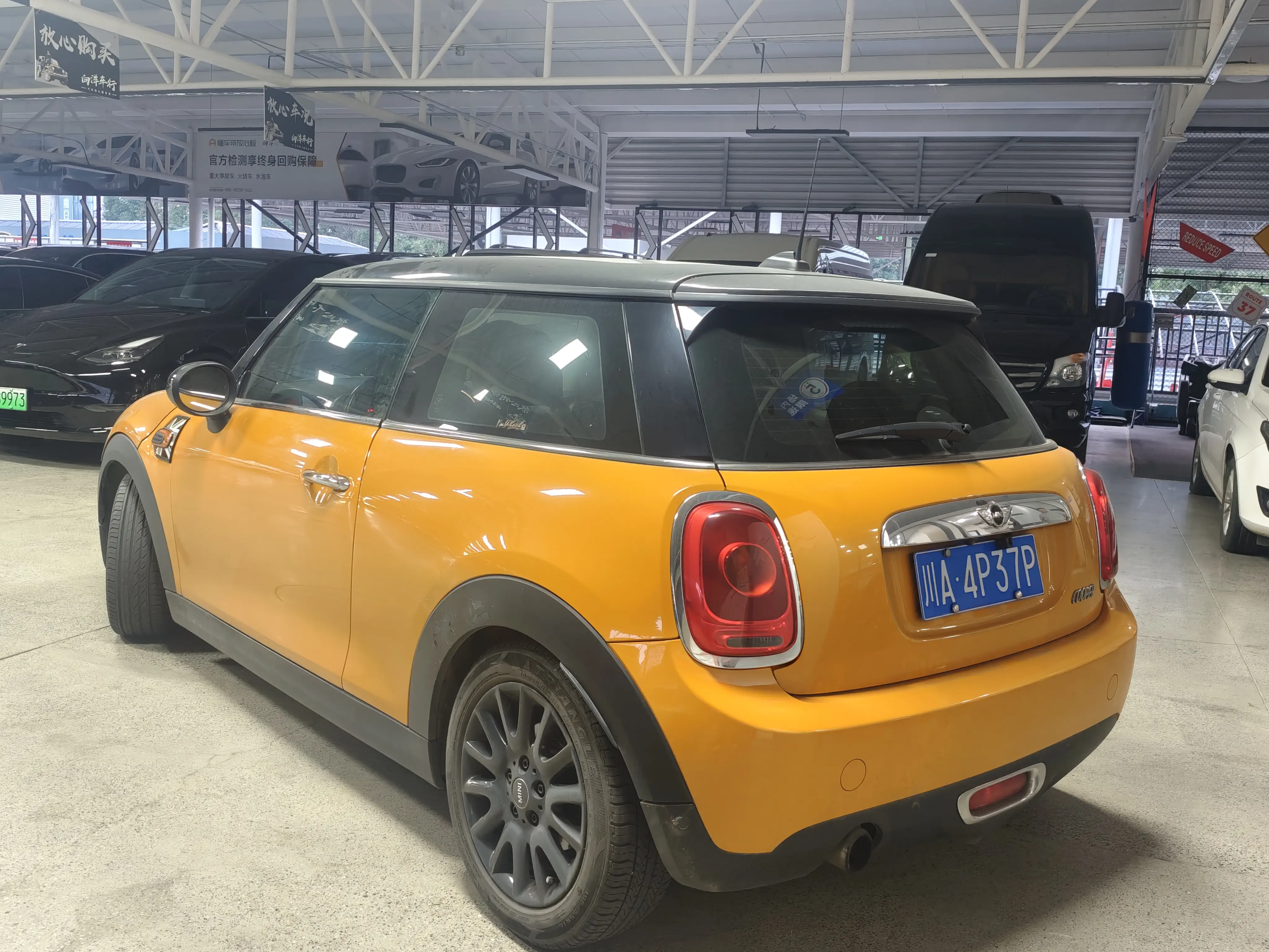 MINI MINI