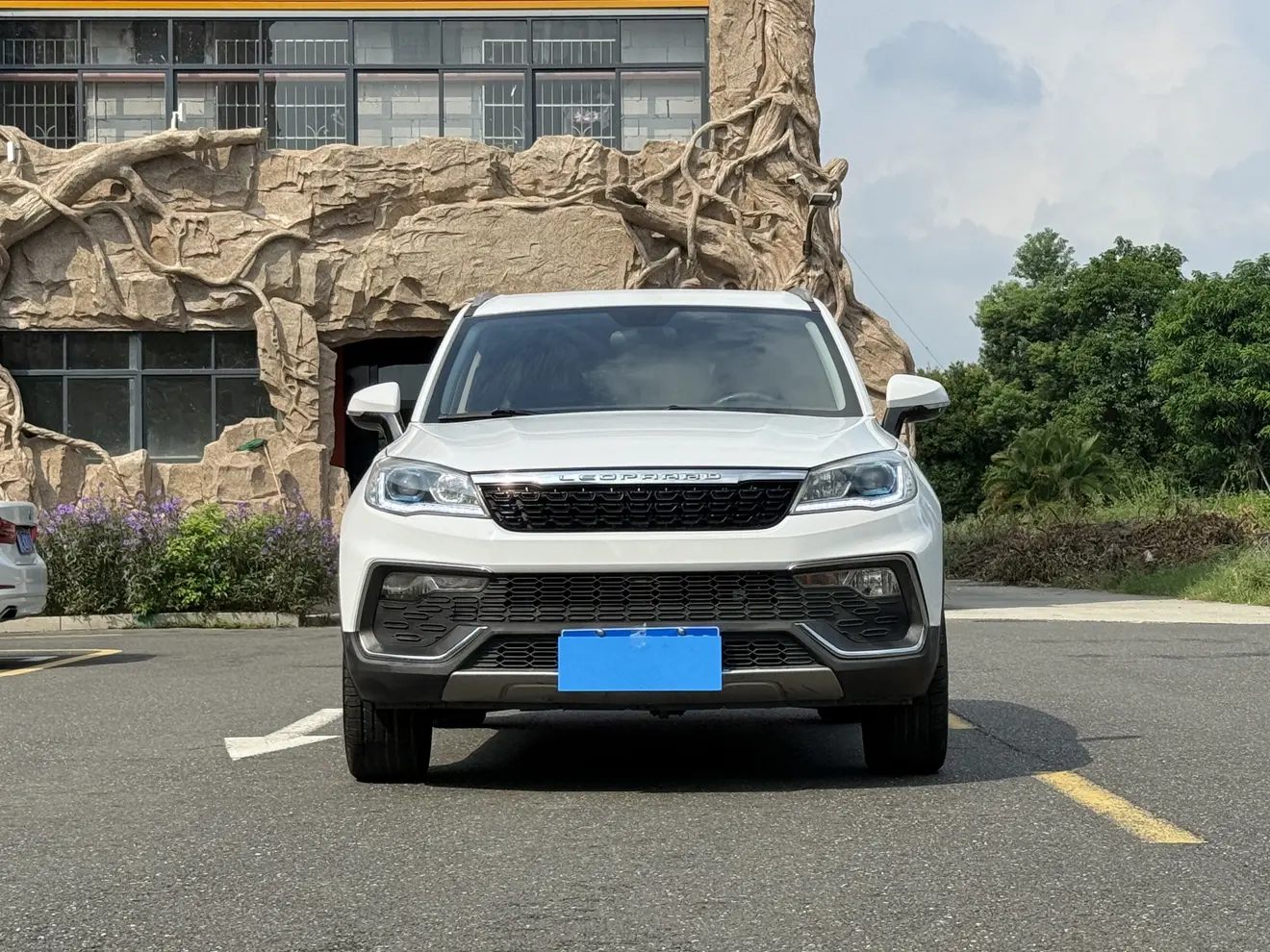 Cheetah cars Cheetah CS9