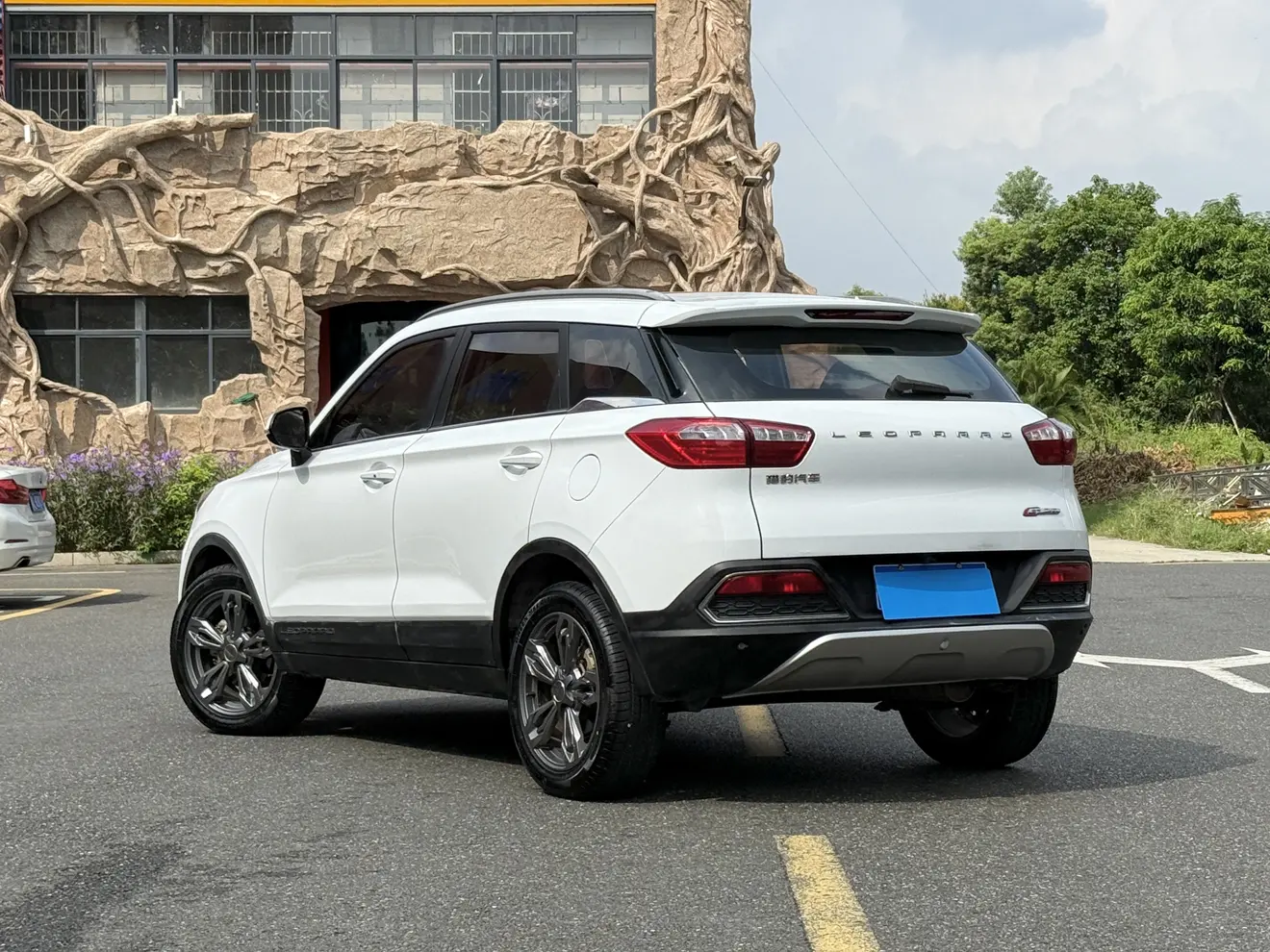 Cheetah cars Cheetah CS9