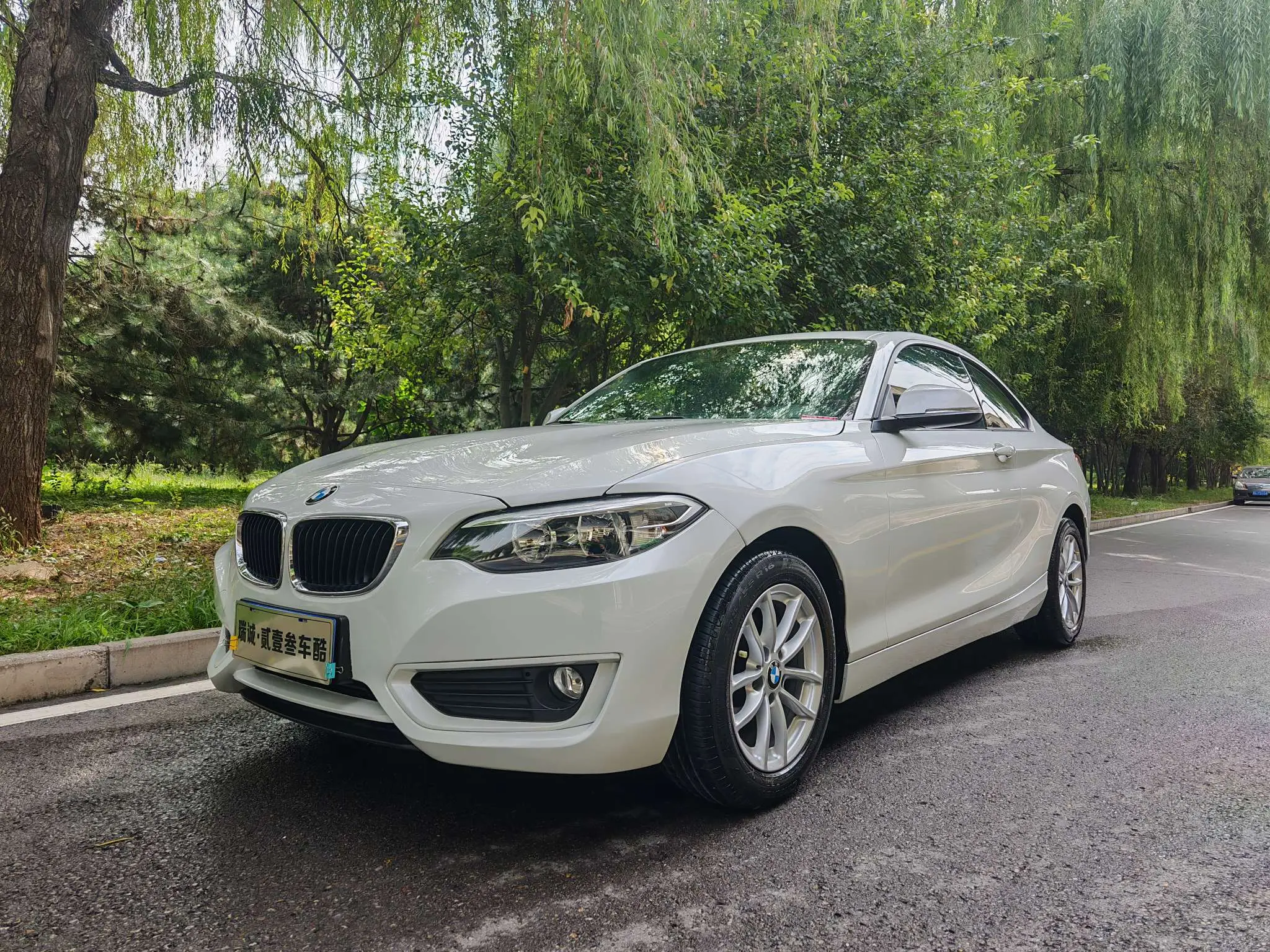 BMW 2 Series (Imported)  из Китая
