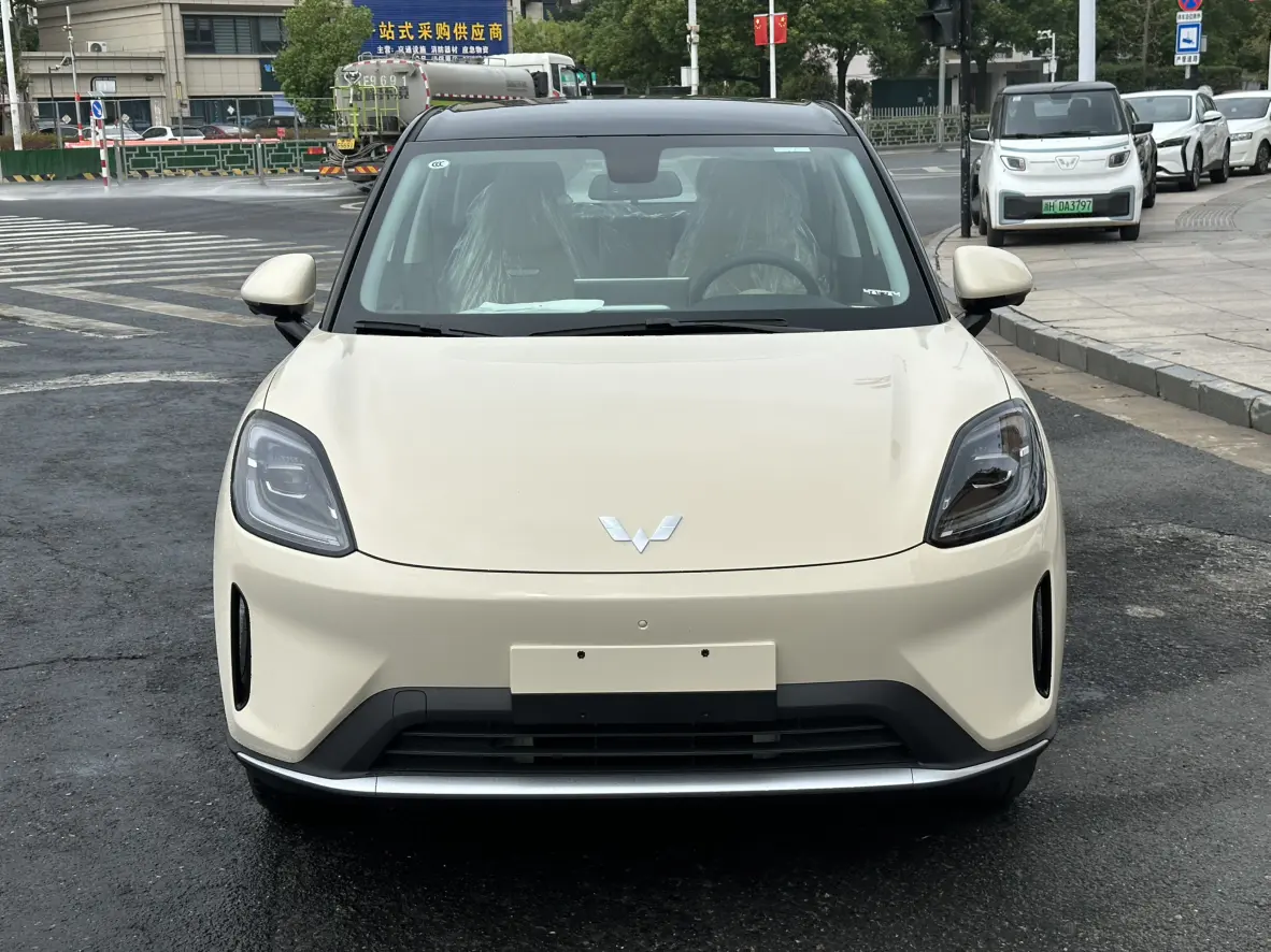 Wuling Bingo S
