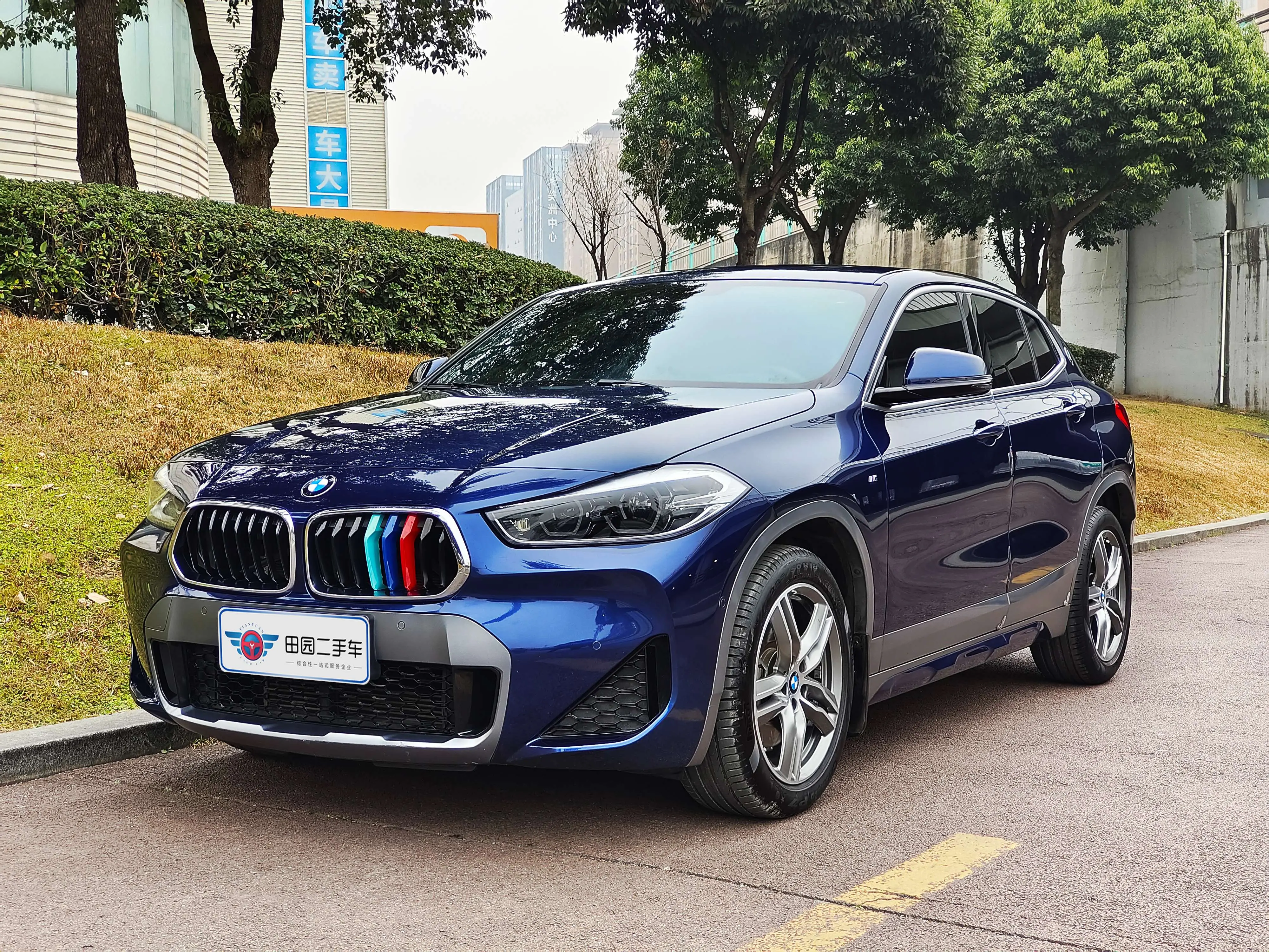 BMW X2