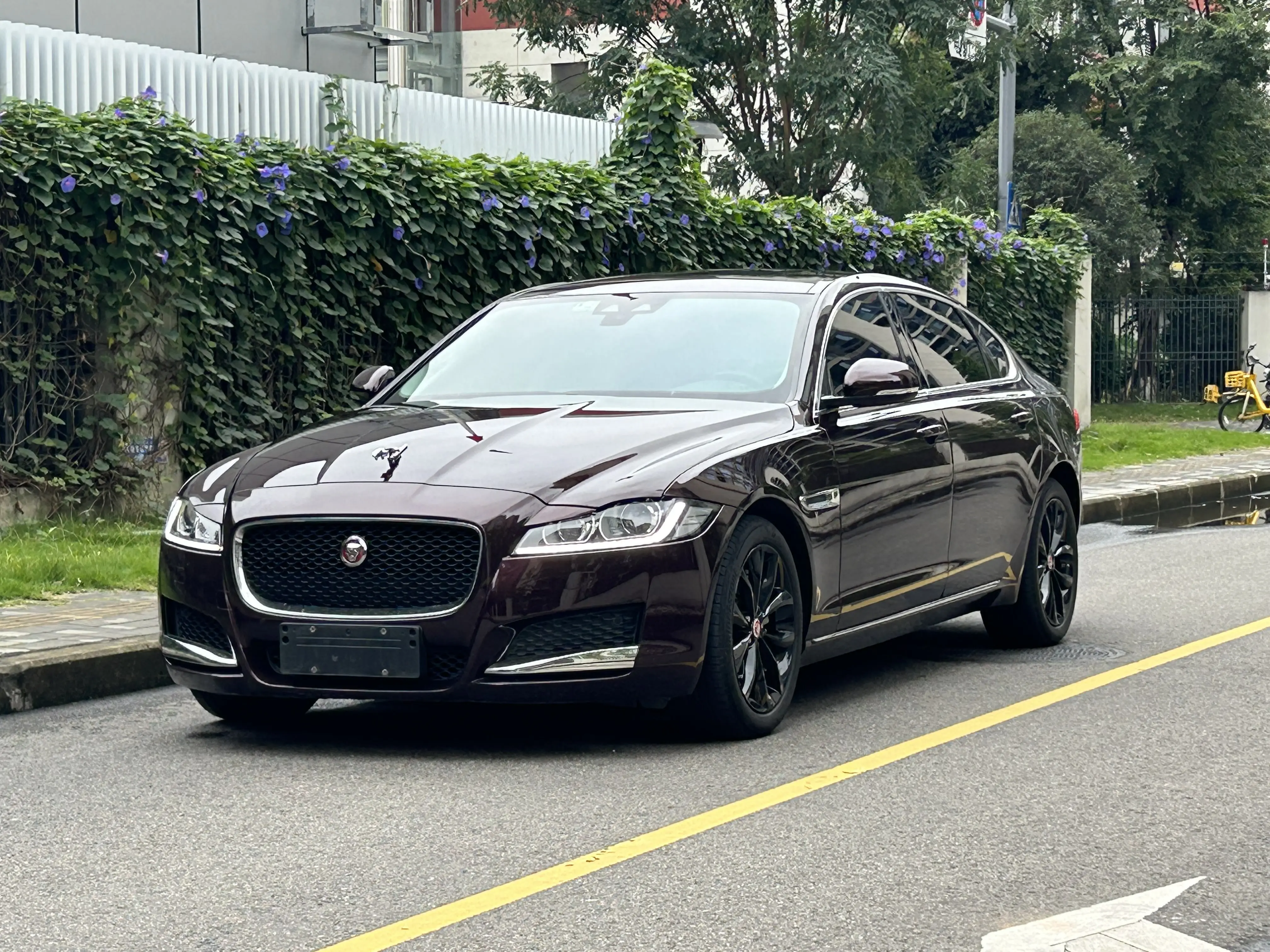 Jaguar XFL