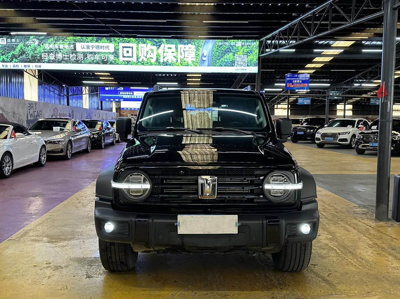 Tank 300  из Китая