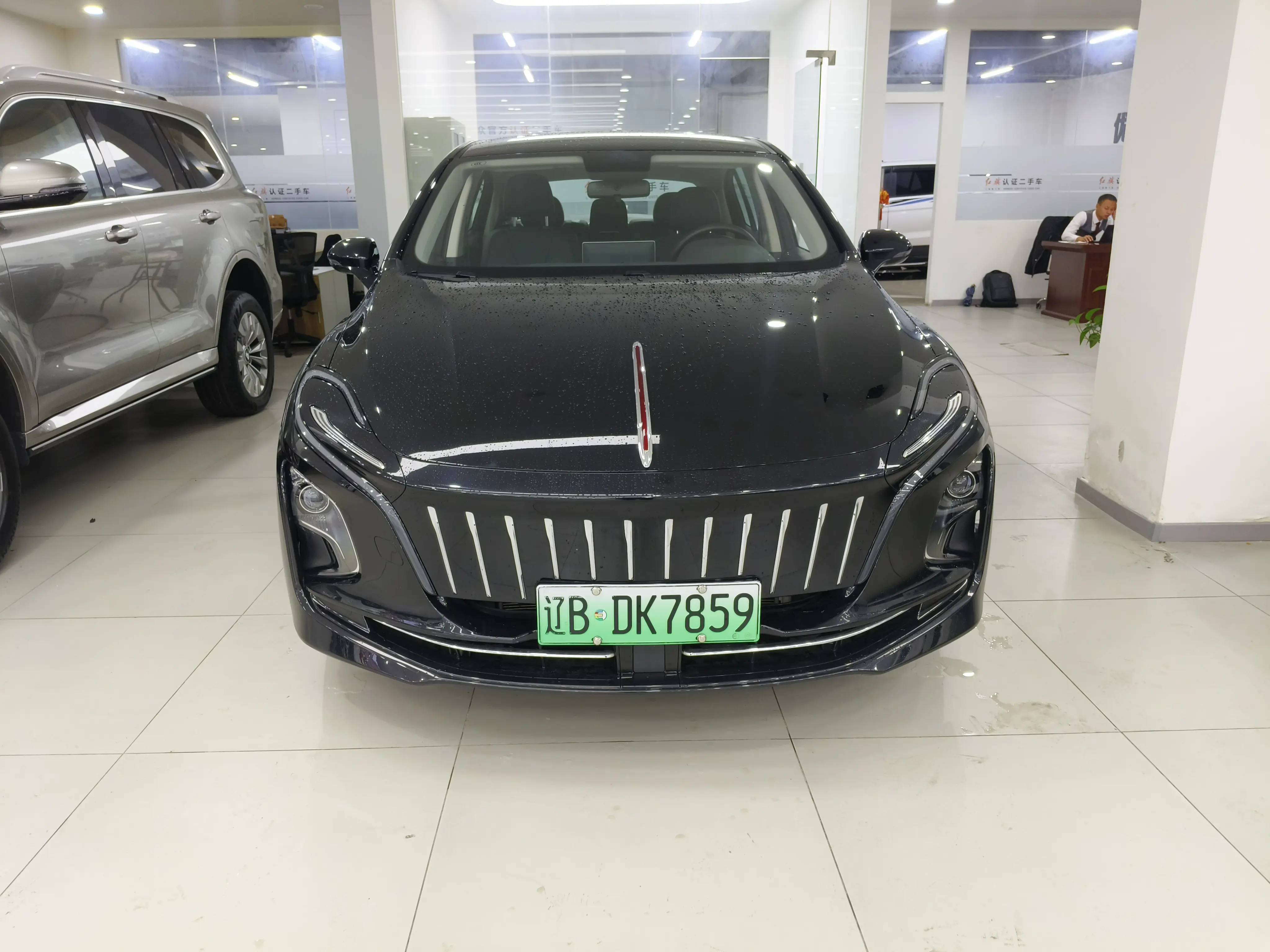 Hongqi E-QM5