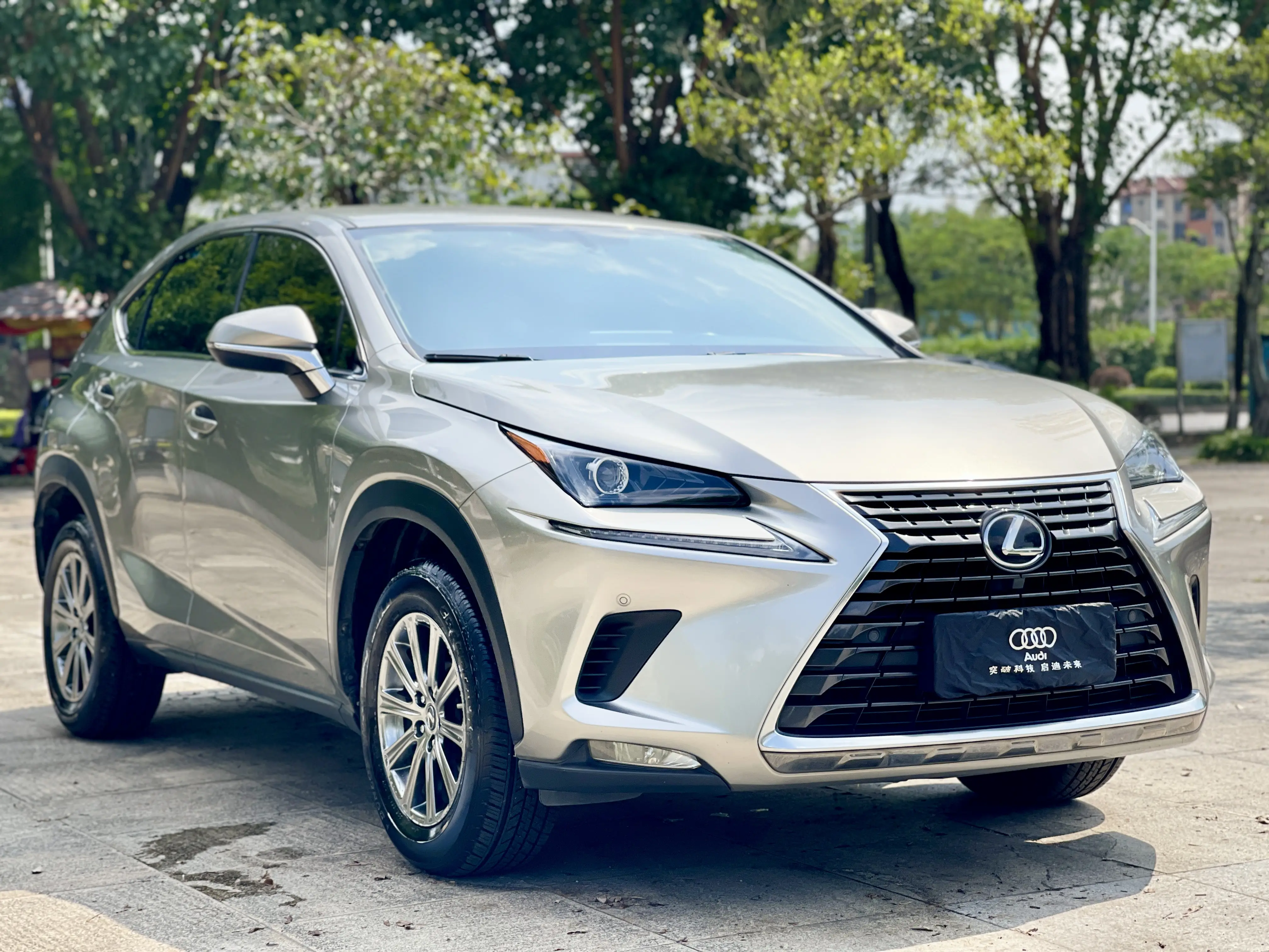 Lexus NX