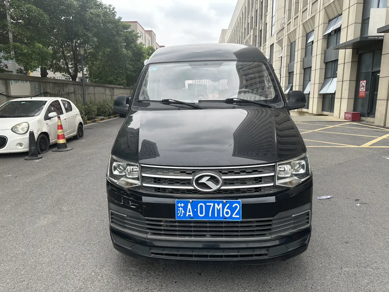 Golden dragon Kelly Hulk