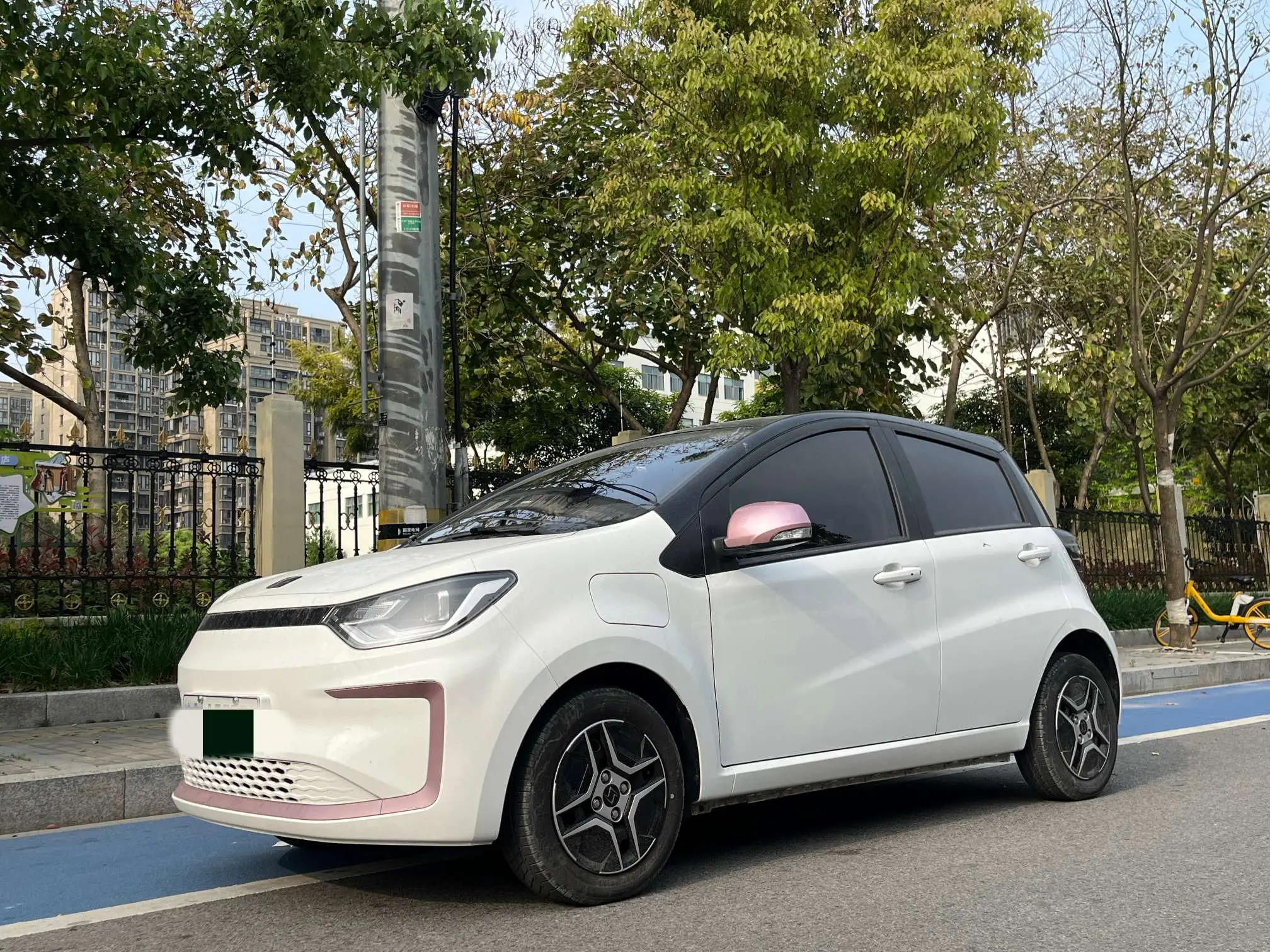 JAC (Sihao) Sihao Flower Fairy