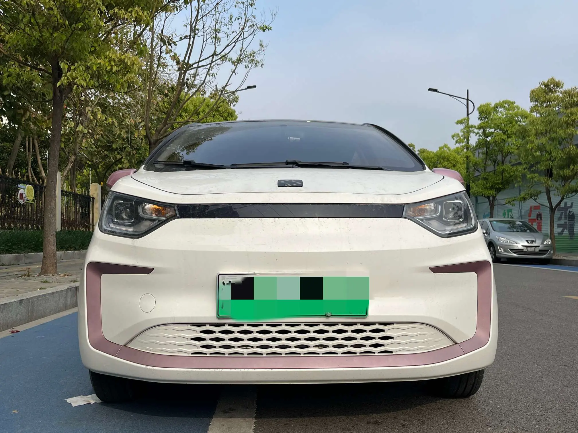 JAC (Sihao) Sihao Flower Fairy