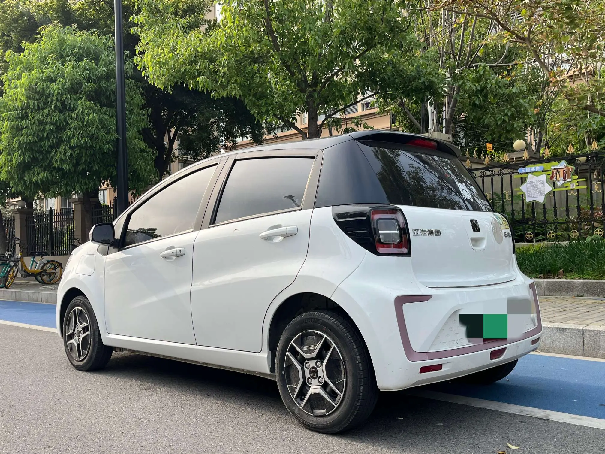 JAC (Sihao) Sihao Flower Fairy