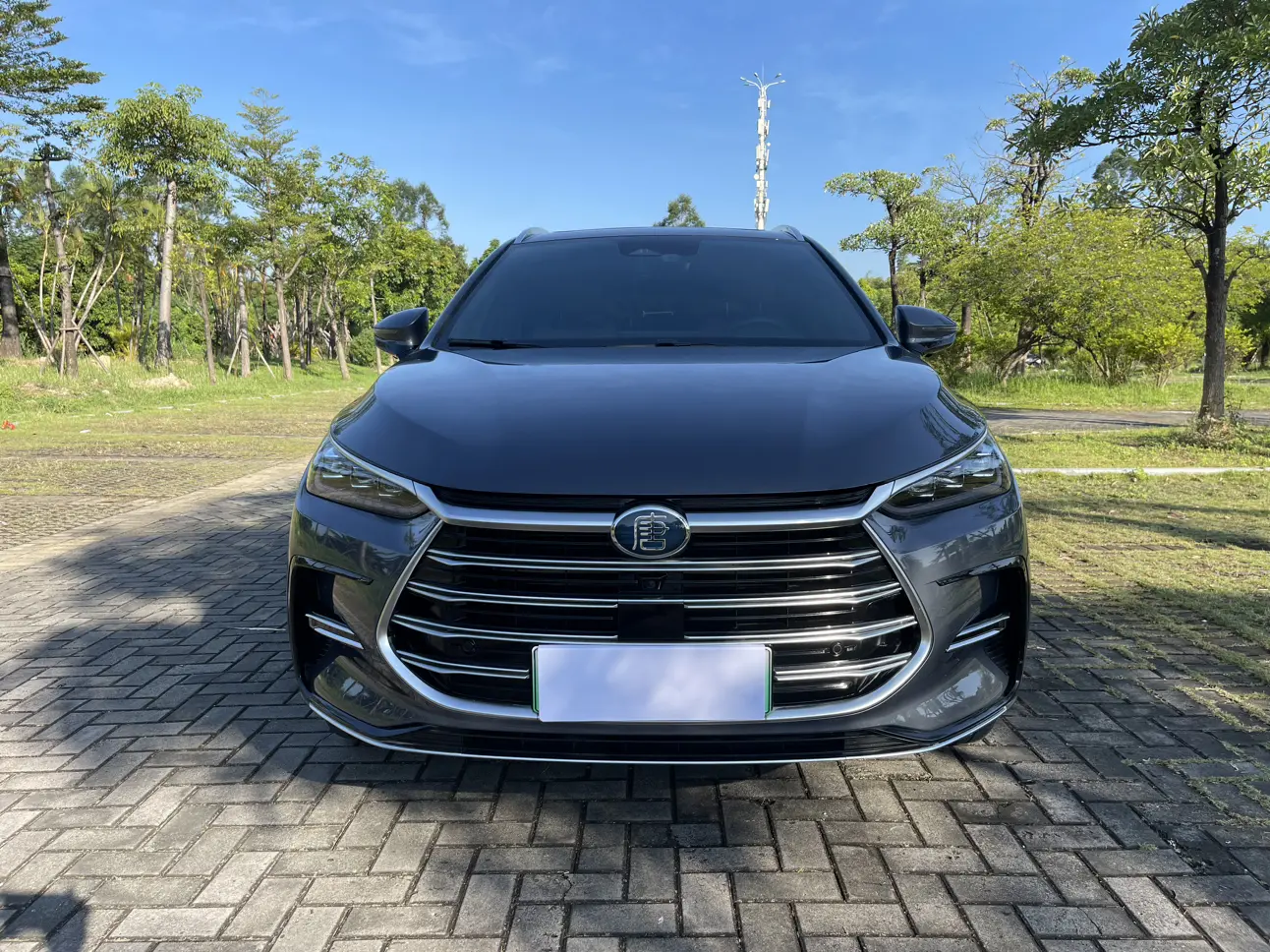 BYD Tang DM