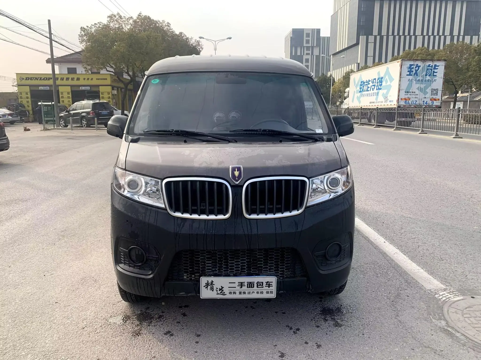 Golden cup Little sea lion X30