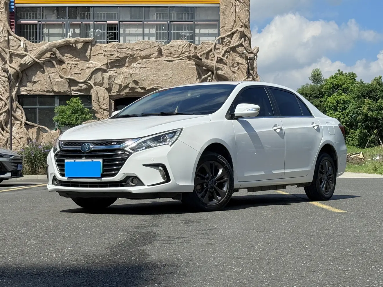 BYD Qin DM  из Китая