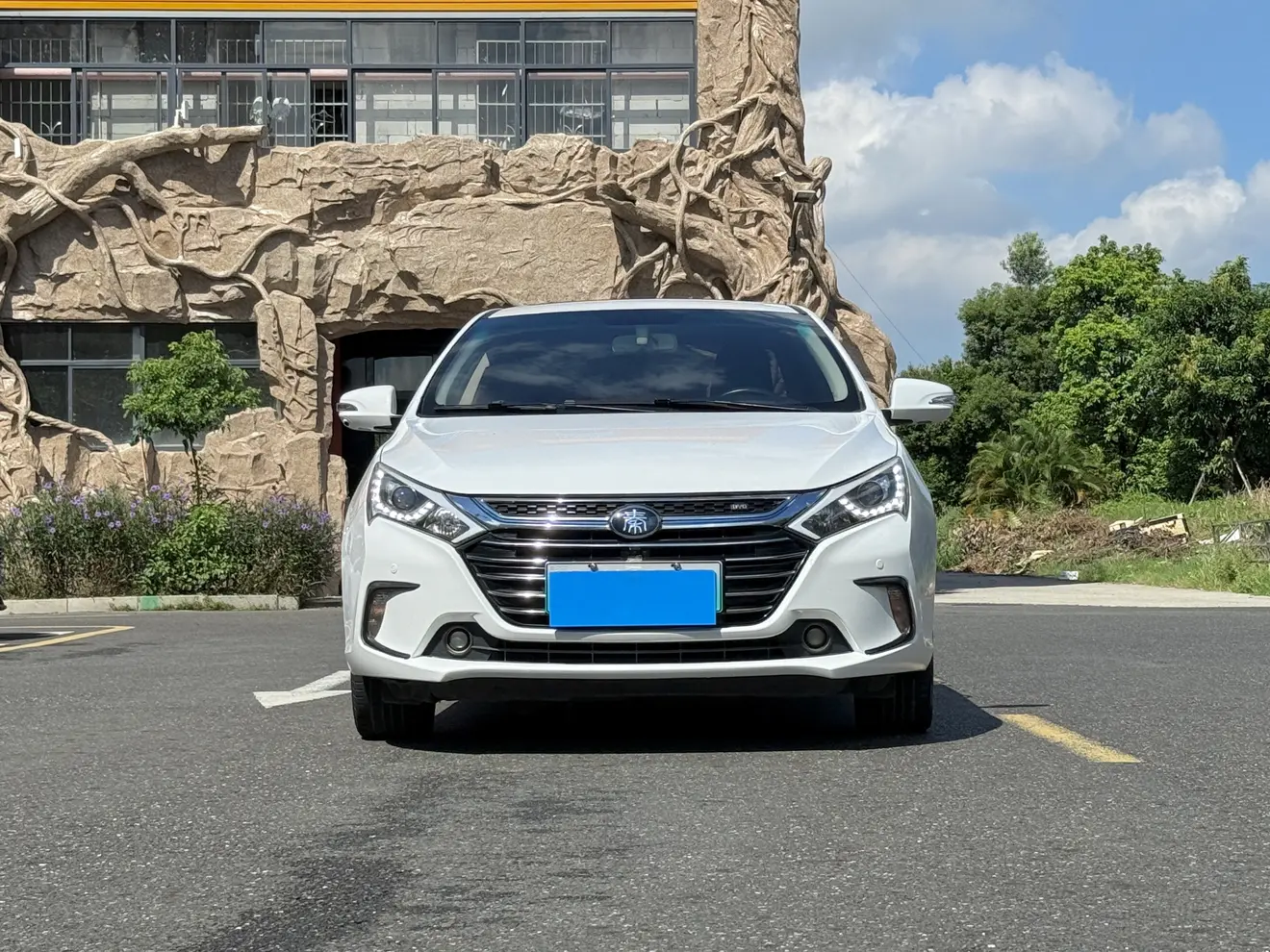 BYD Qin DM  из Китая